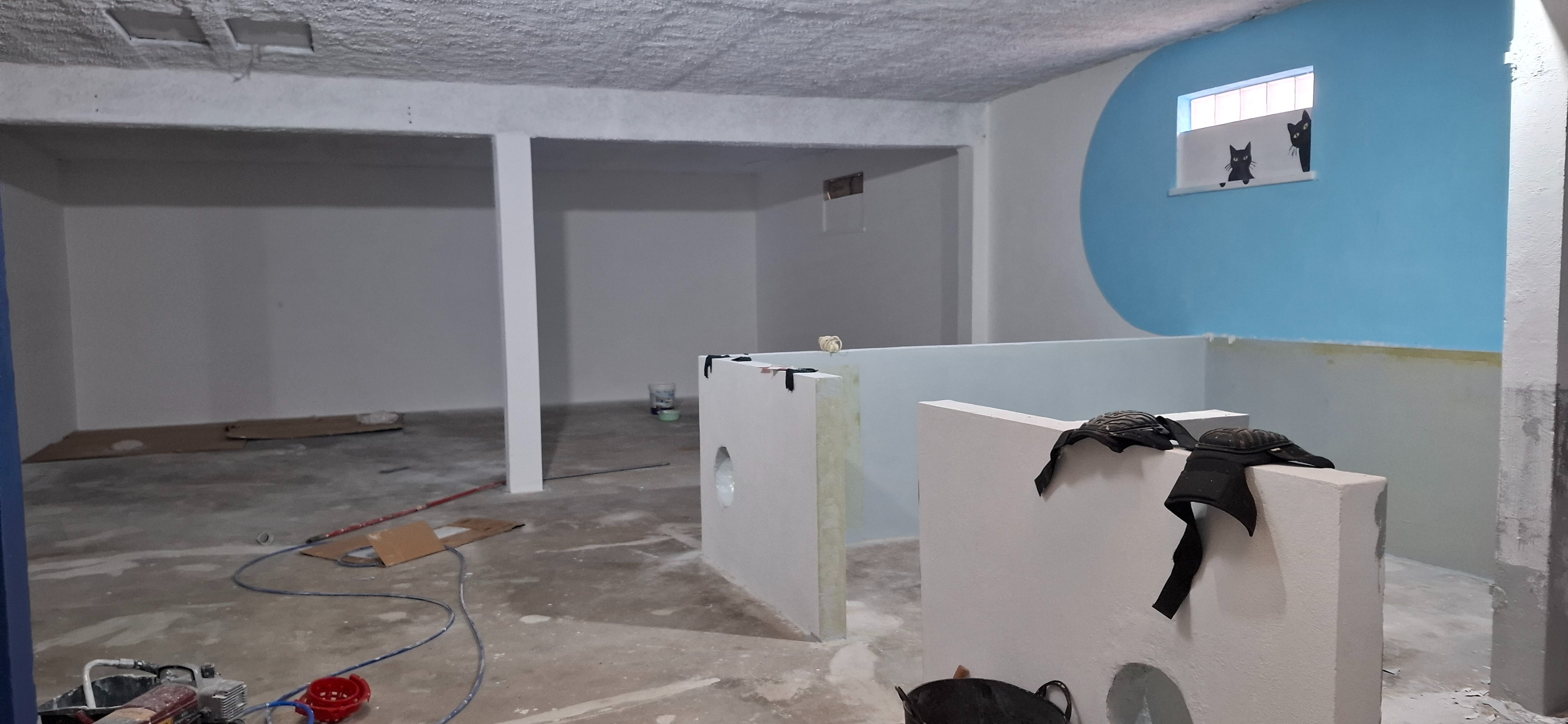 Flooring the Future for Hello Whiskers Kitten Rescue campaign photo, 2 of 8