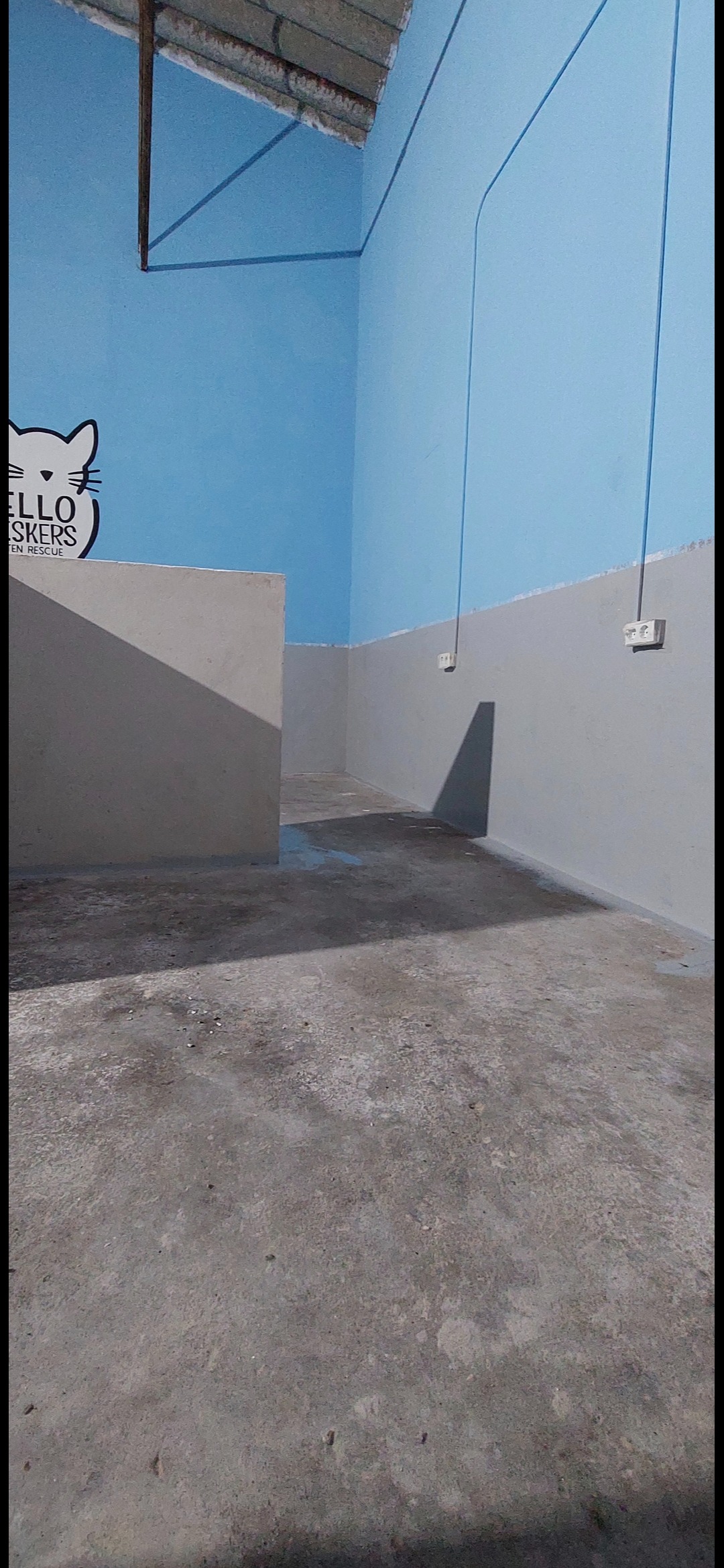 Flooring the Future for Hello Whiskers Kitten Rescue campaign photo, 7 of 8