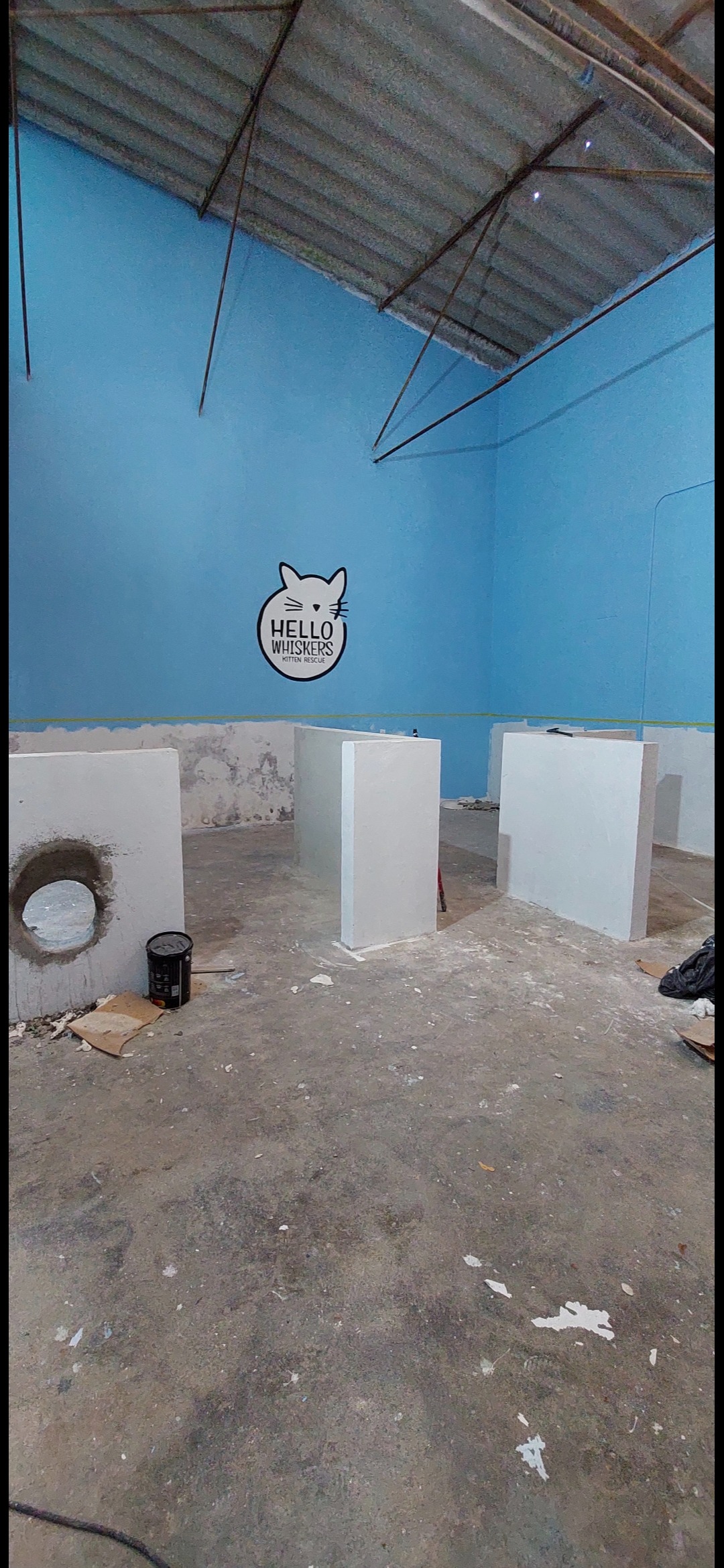 Flooring the Future for Hello Whiskers Kitten Rescue campaign photo, 4 of 8