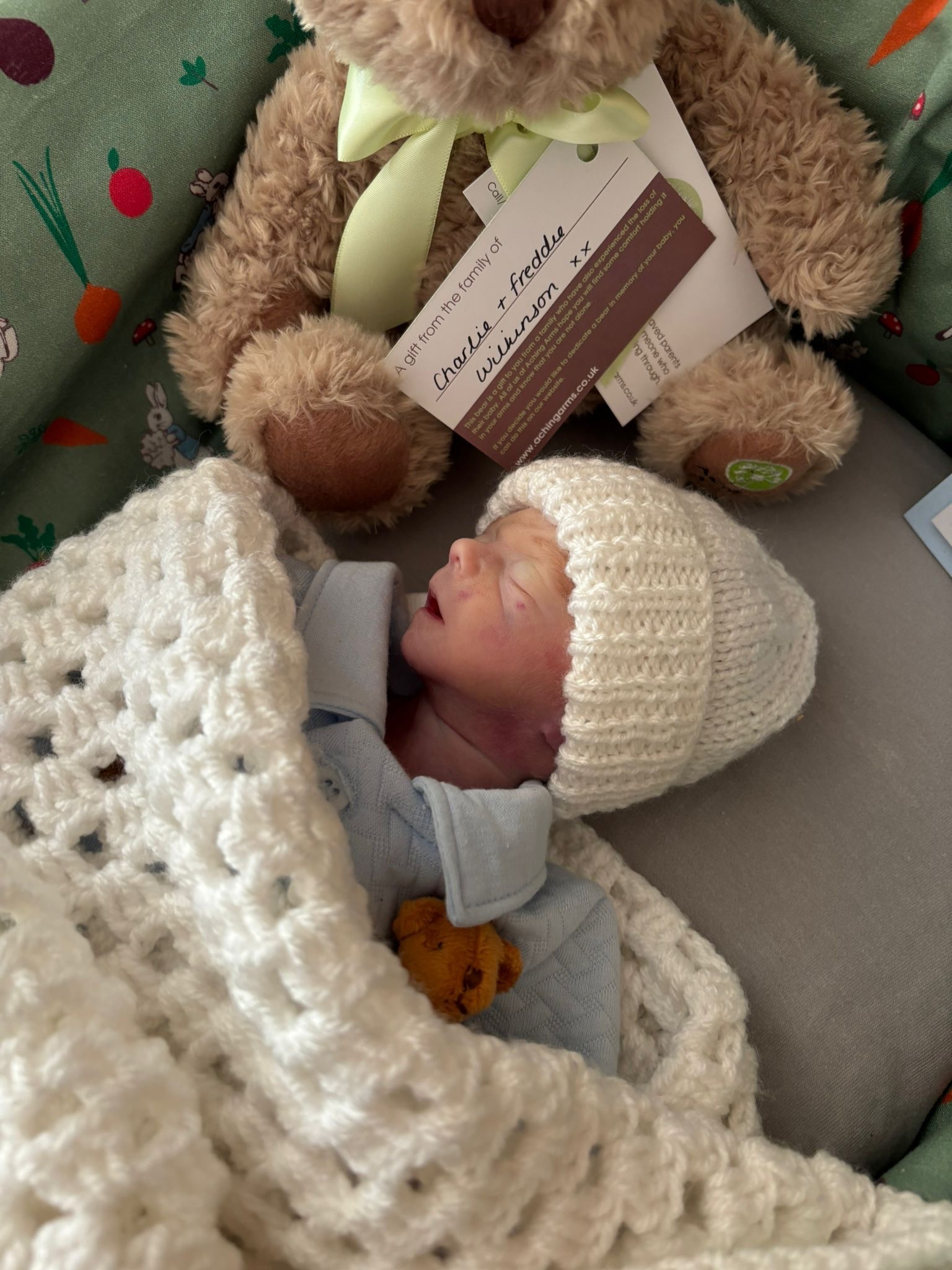 Baby Stevie Jnr. campaign photo, 2 of 6