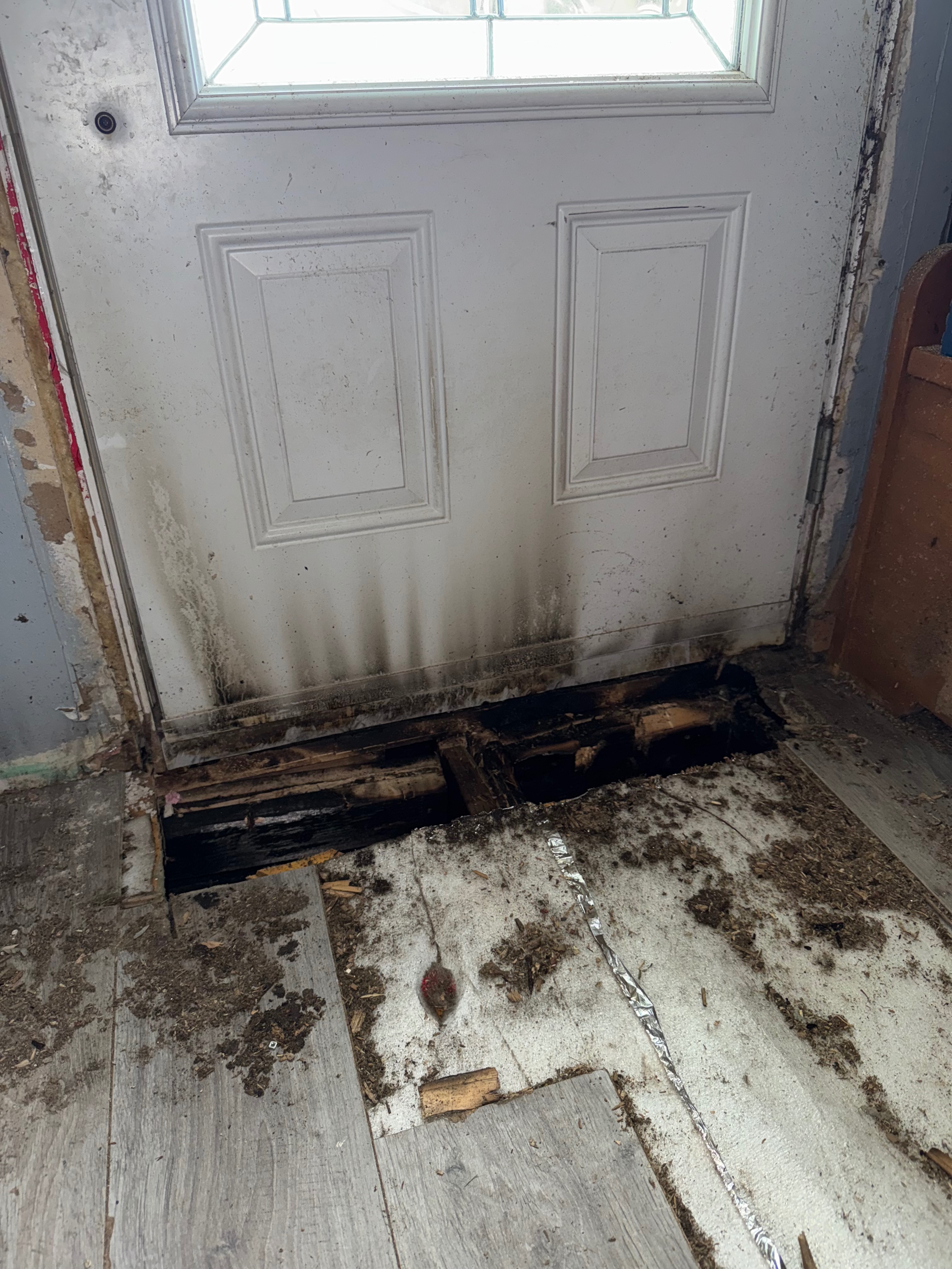 Incendie perte totale: Aidez une famille de Lavaltrie campaign photo, 2 of 8