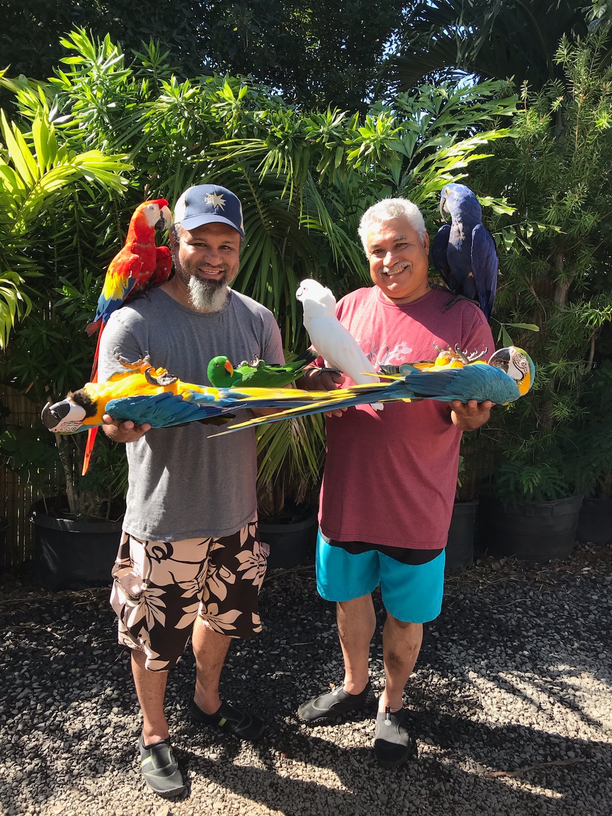 User-uploaded image 2