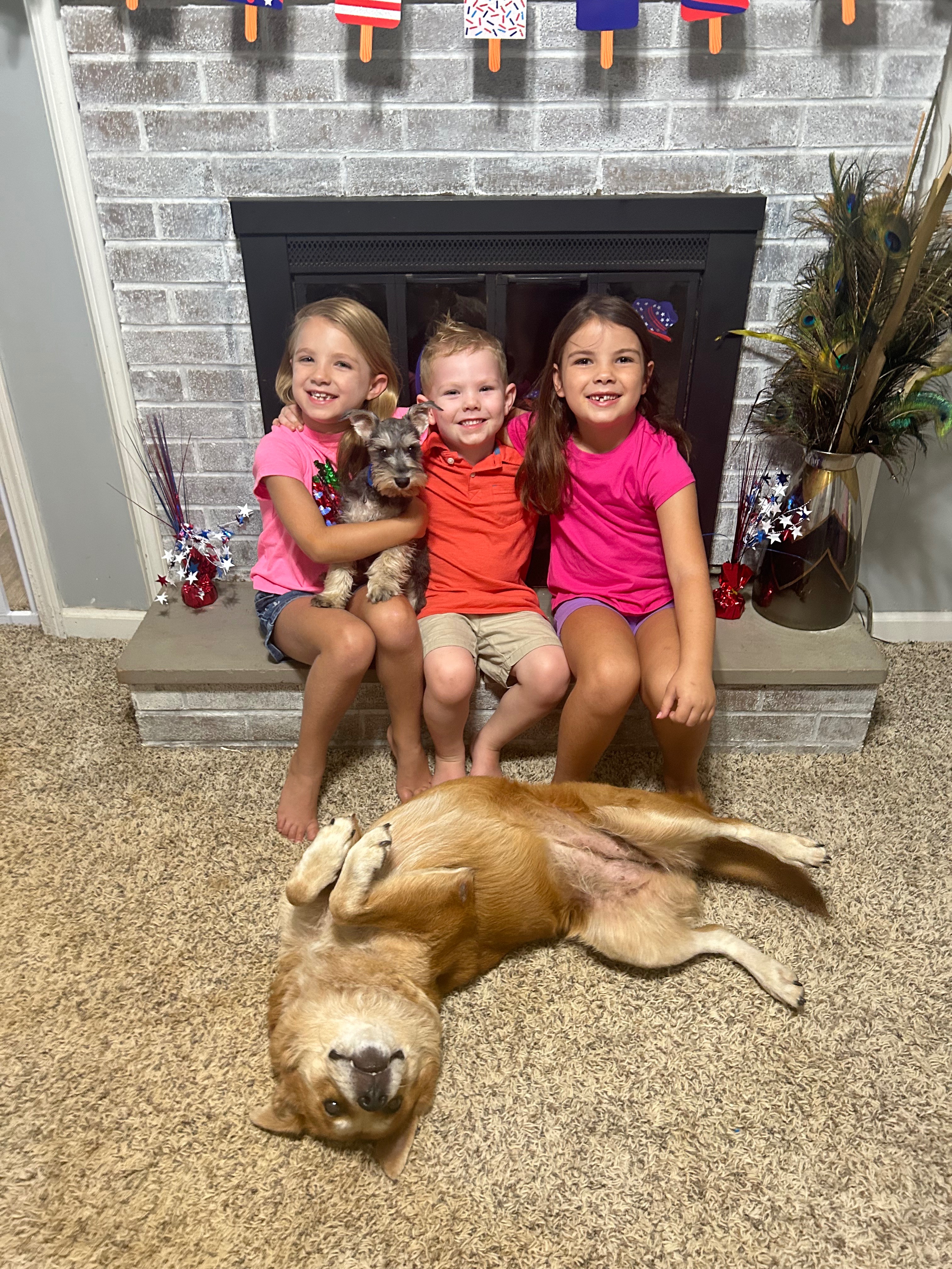 Help Emily Save Her Beloved Dog, Luna! campaign photo, 5 of 6