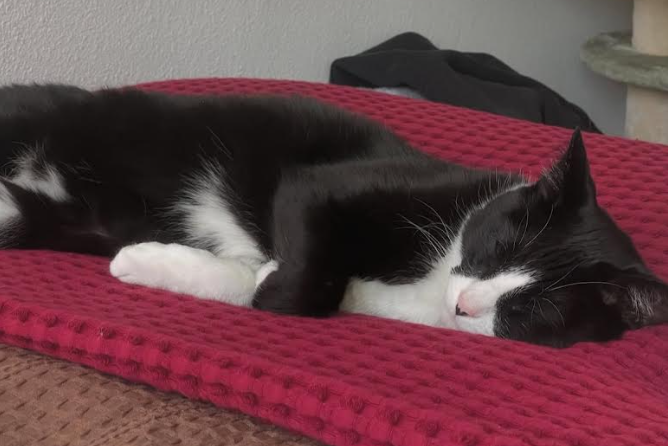 User-uploaded image 1