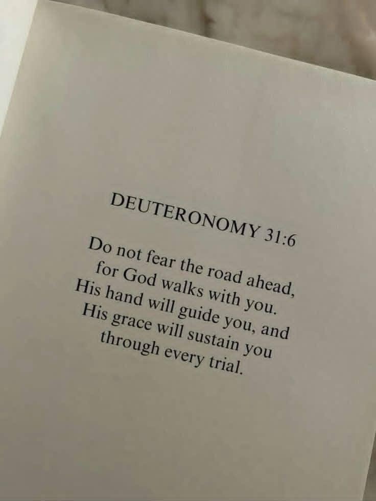 User-uploaded image 1