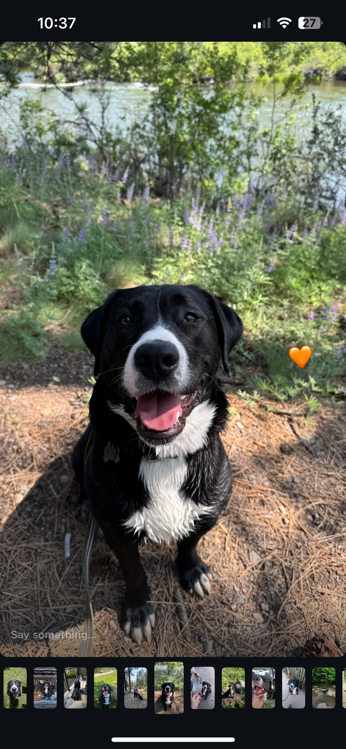 Help Sam Heal: Support His Medical Journey campaign photo, 4 of 8
