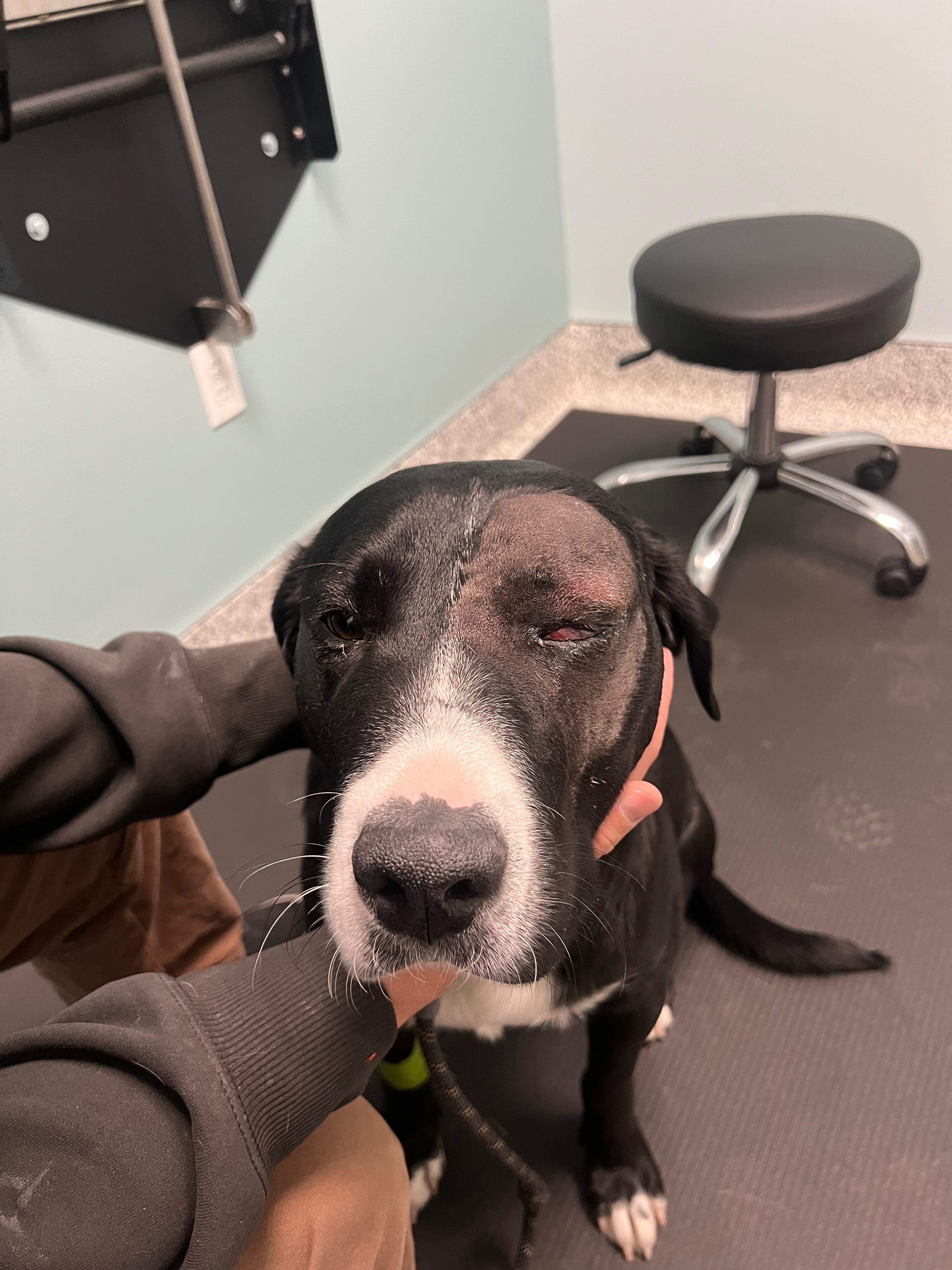 Help Sam Heal: Support His Medical Journey campaign photo, 5 of 8