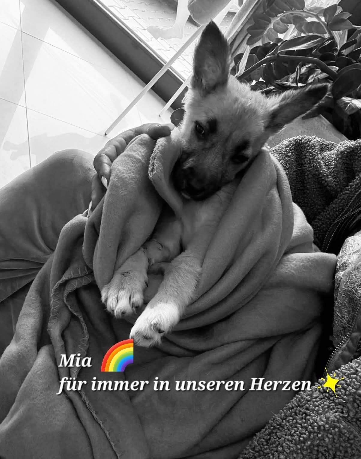 Leider hat es Mia nicht geschafft. Geboren und gestorben campaign photo, 6 of 7