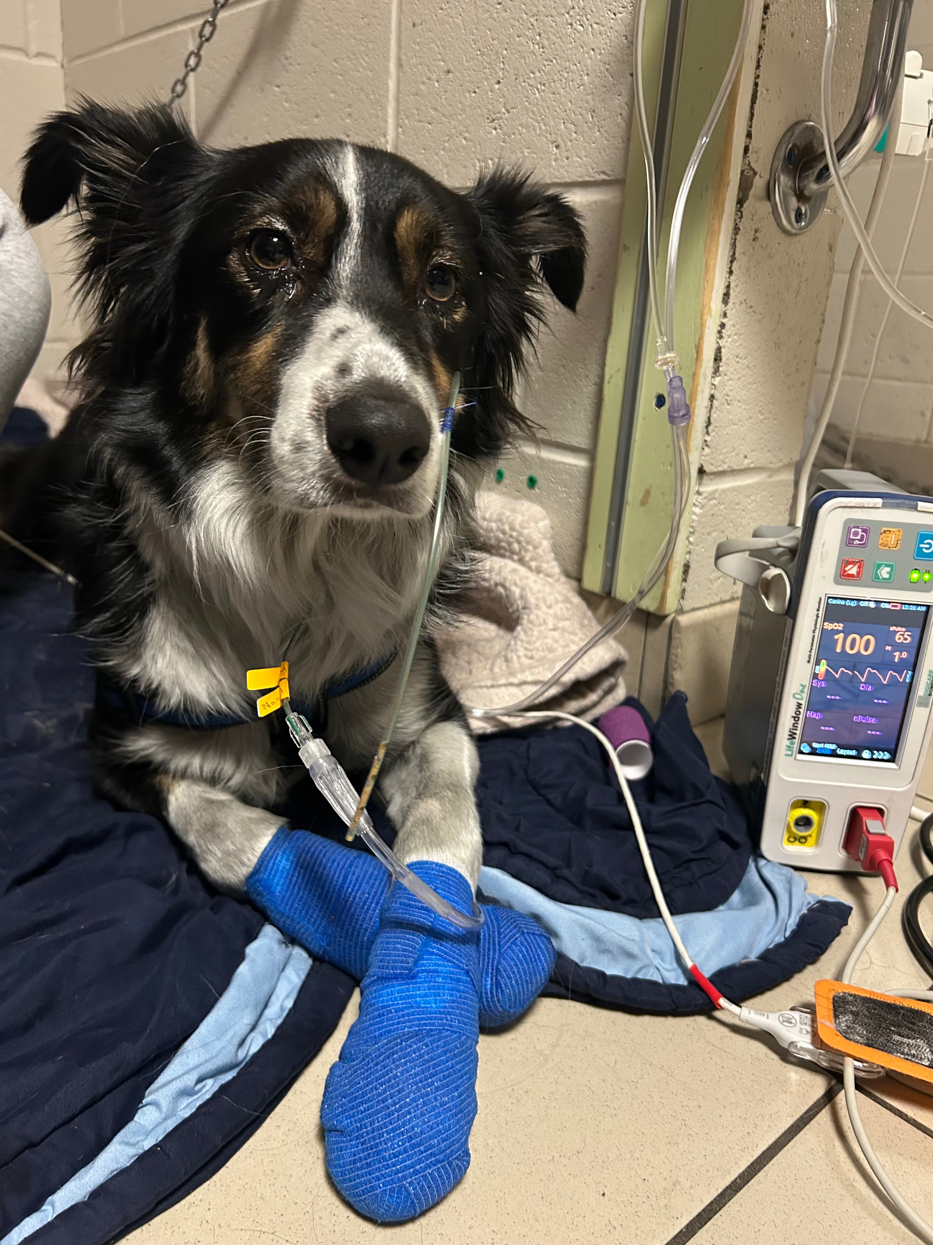 User-uploaded image 1