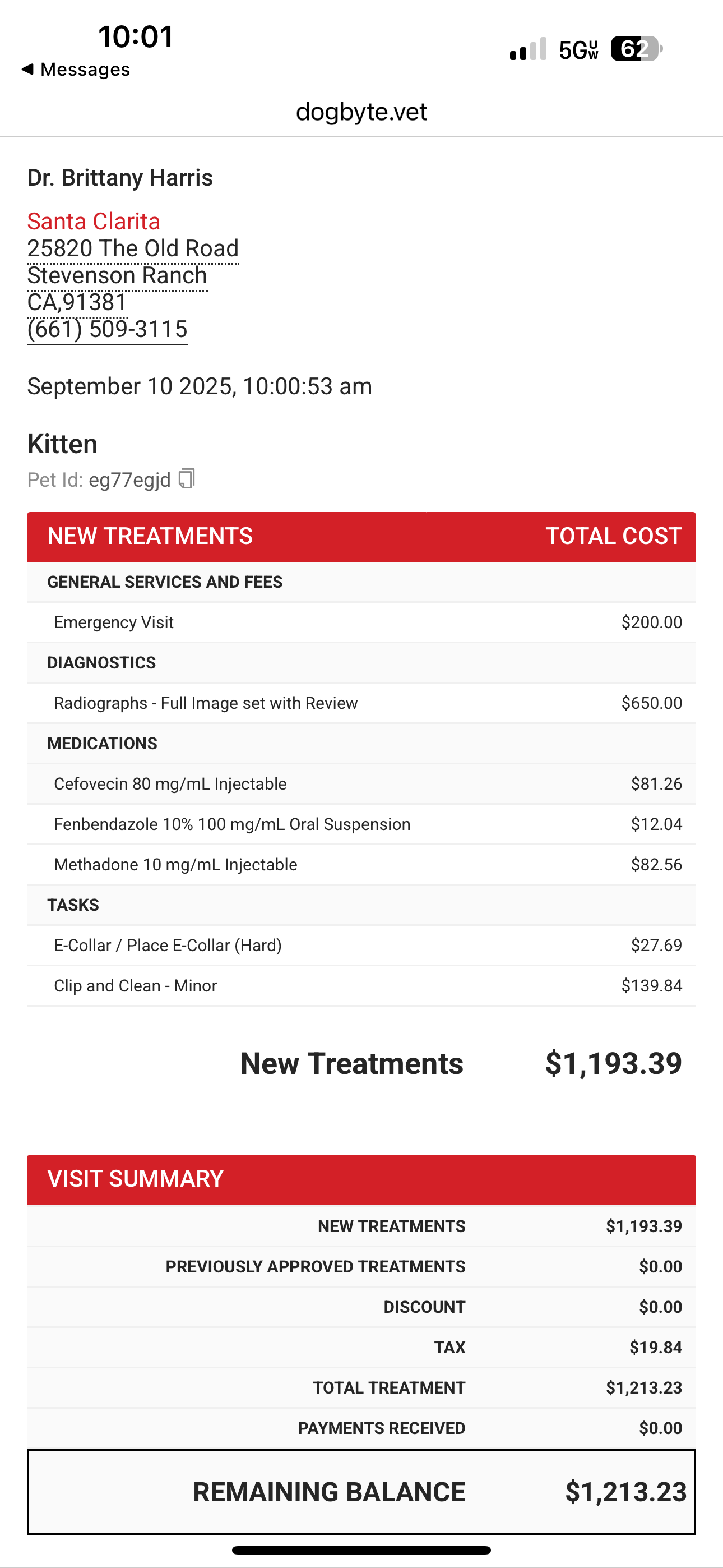 Help Save a Feral Kitten Hit by a Car campaign photo, 4 of 6