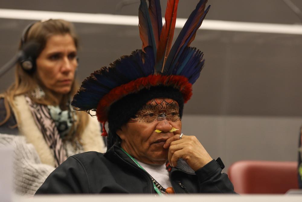 Bring Yawanawa elder Pai Nani to COP30 campaign photo, 6 of 7