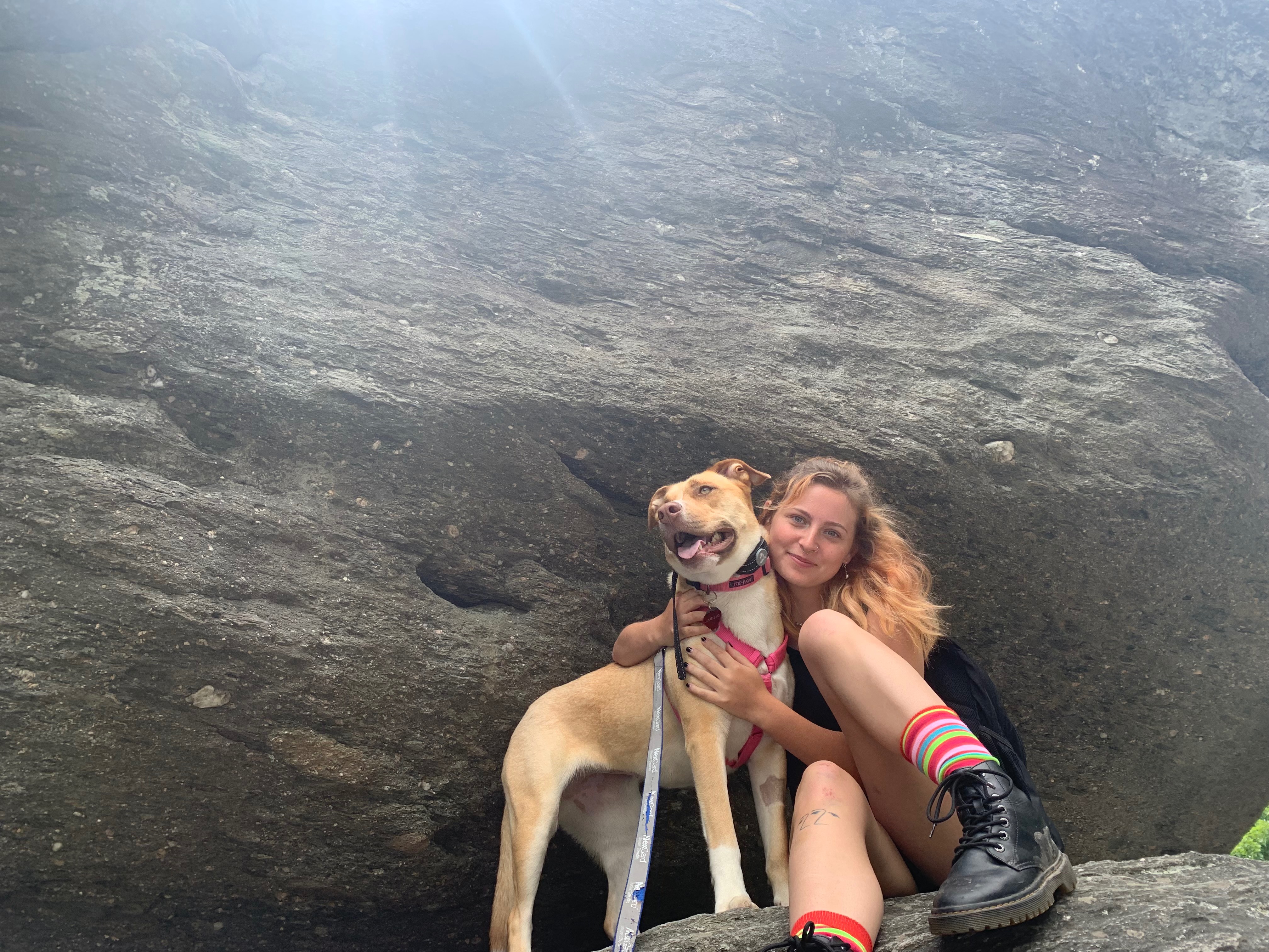Donate to Empower Journey with a PTSD Service Dog campaign photo, 5 of 8