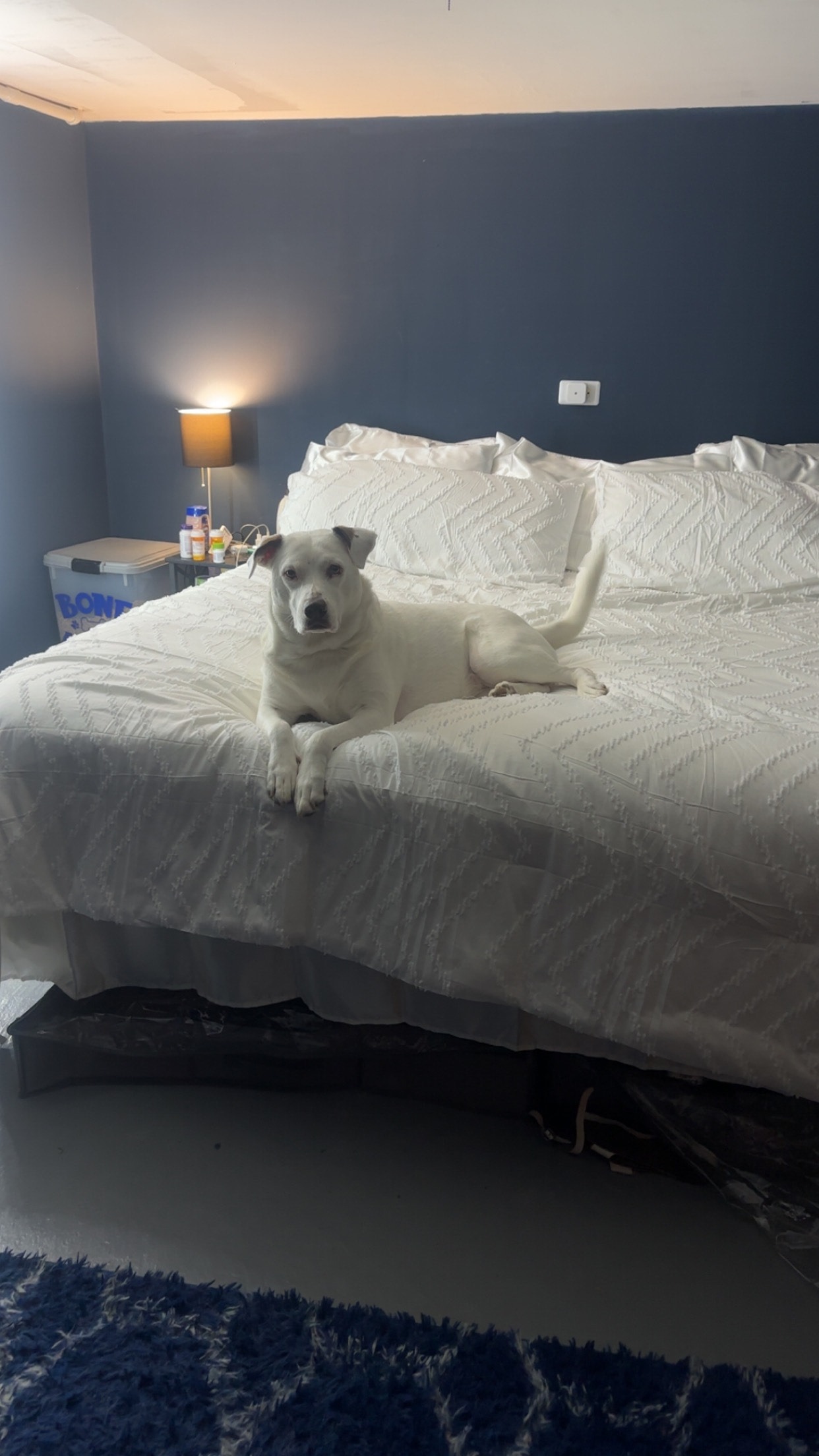 Sage's ACL Surgeries campaign photo, 6 of 7