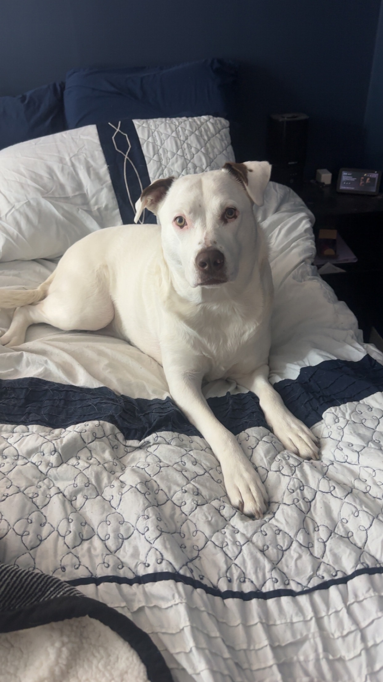 Sage's ACL Surgeries campaign photo, 5 of 7
