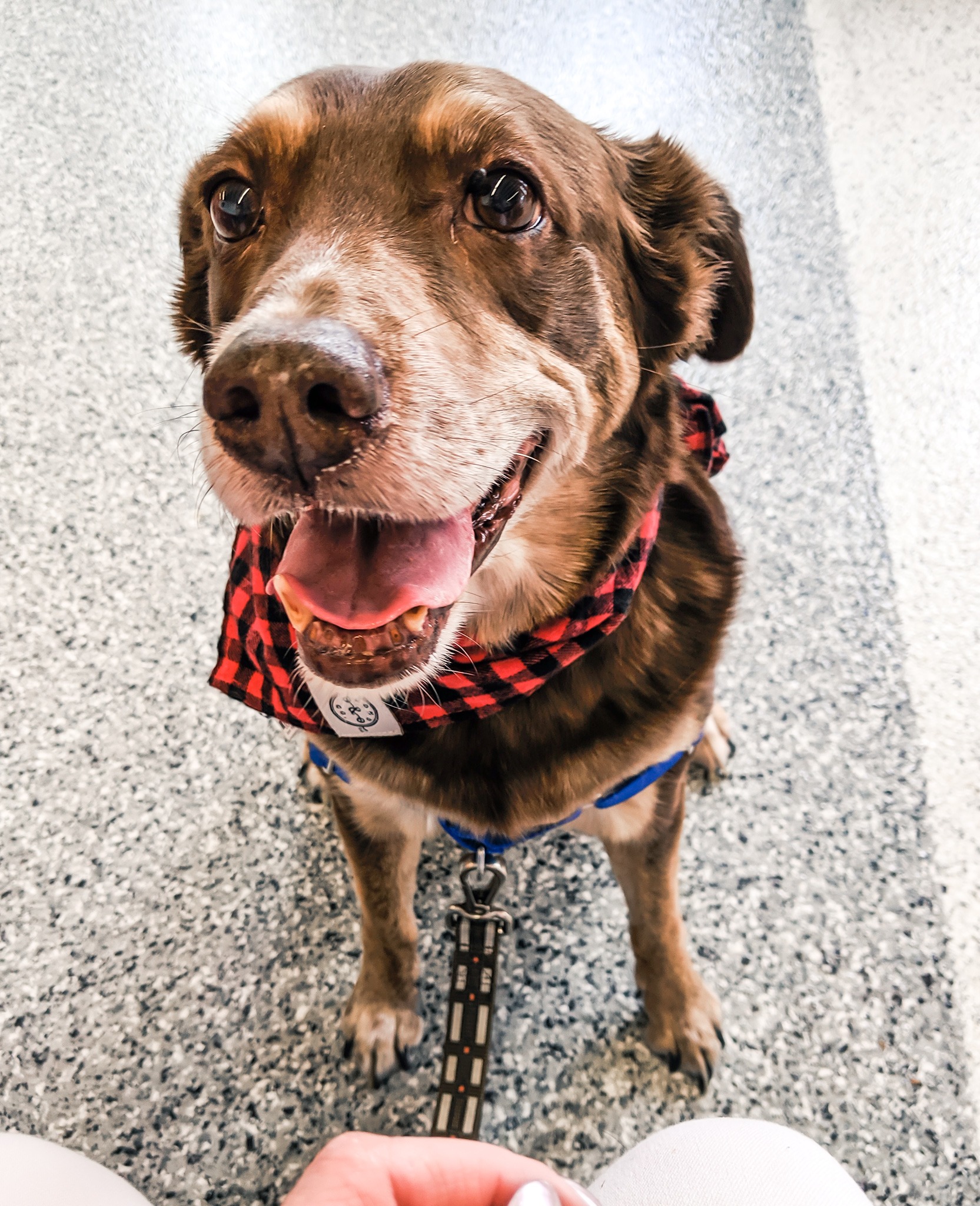 Support Rahlo's Life-Saving Surgery campaign photo, 4 of 5