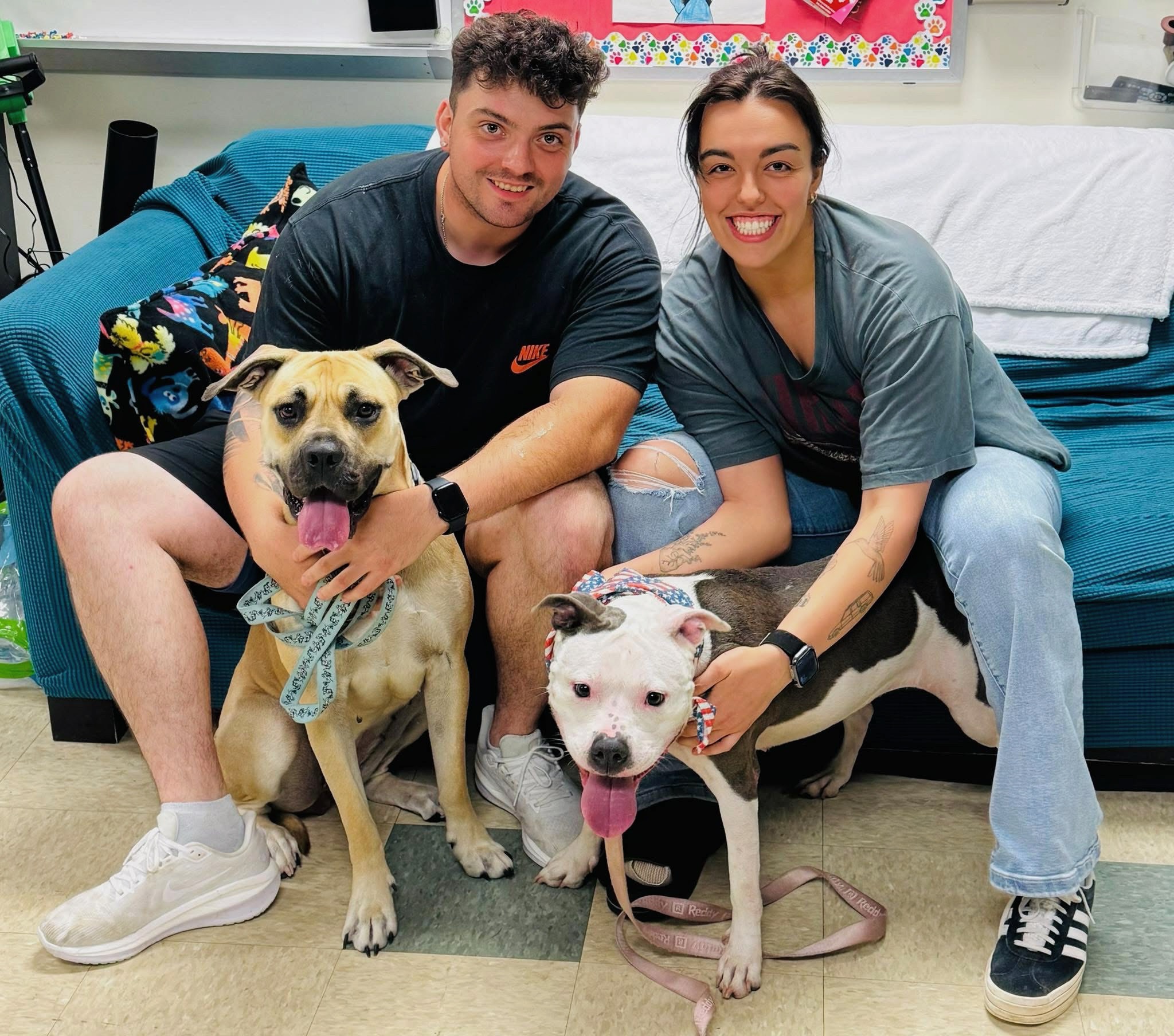 Help Wiggles Wiggle Again campaign photo, 5 of 8