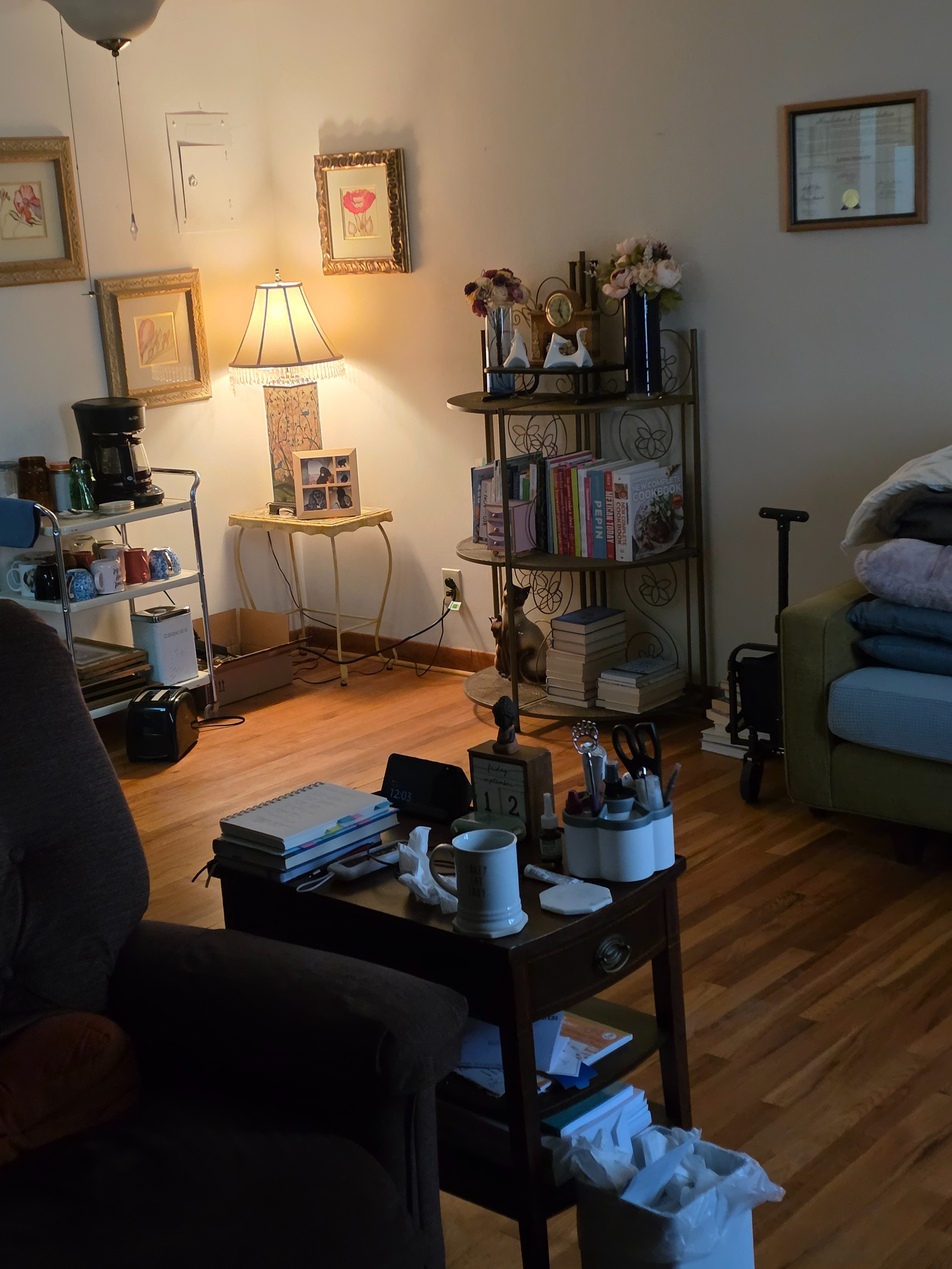HELP an old lady stay in her apartment! campaign photo, 2 of 4