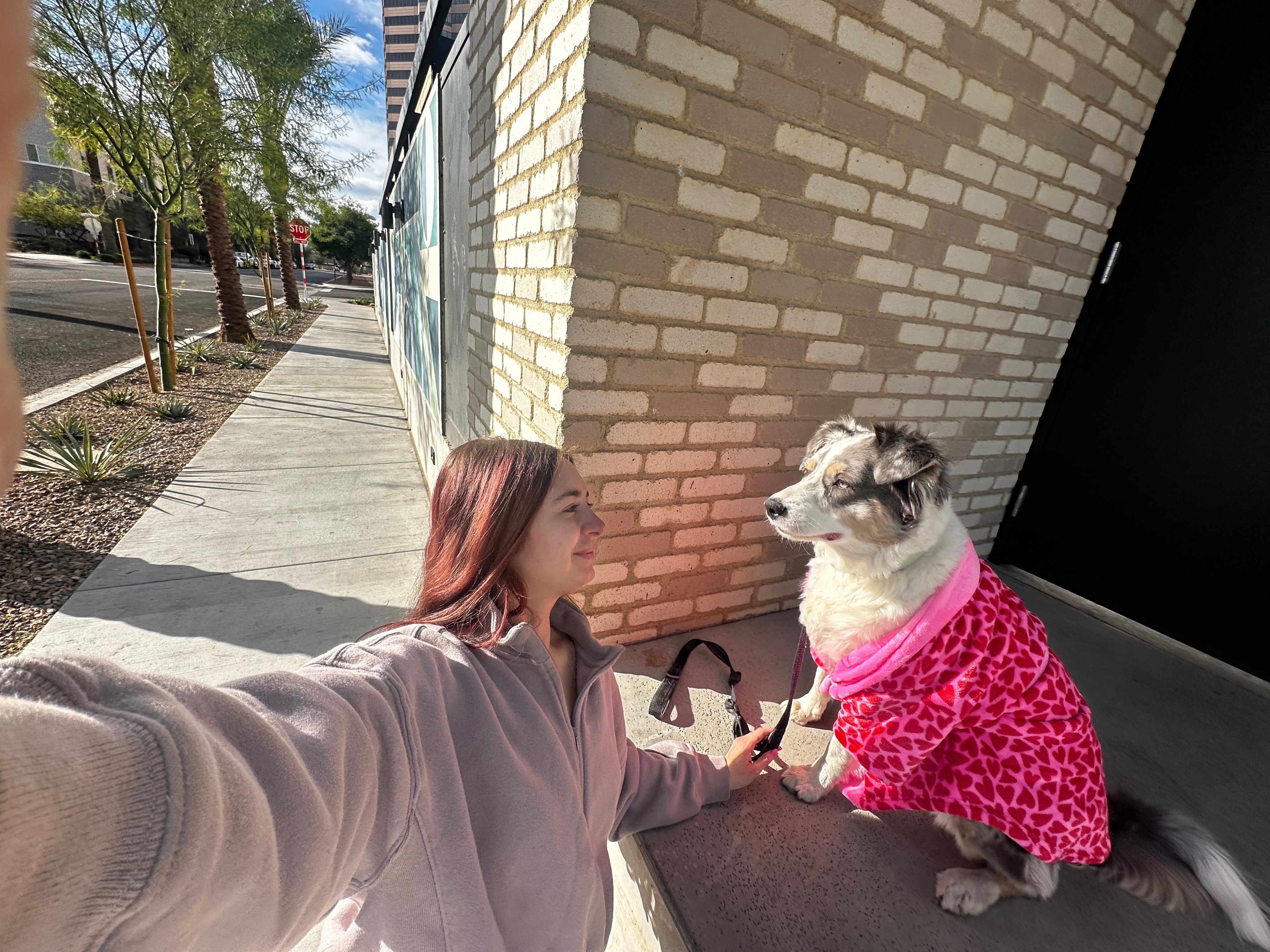 Help Pal Heal Her Broken Toe campaign photo, 4 of 8