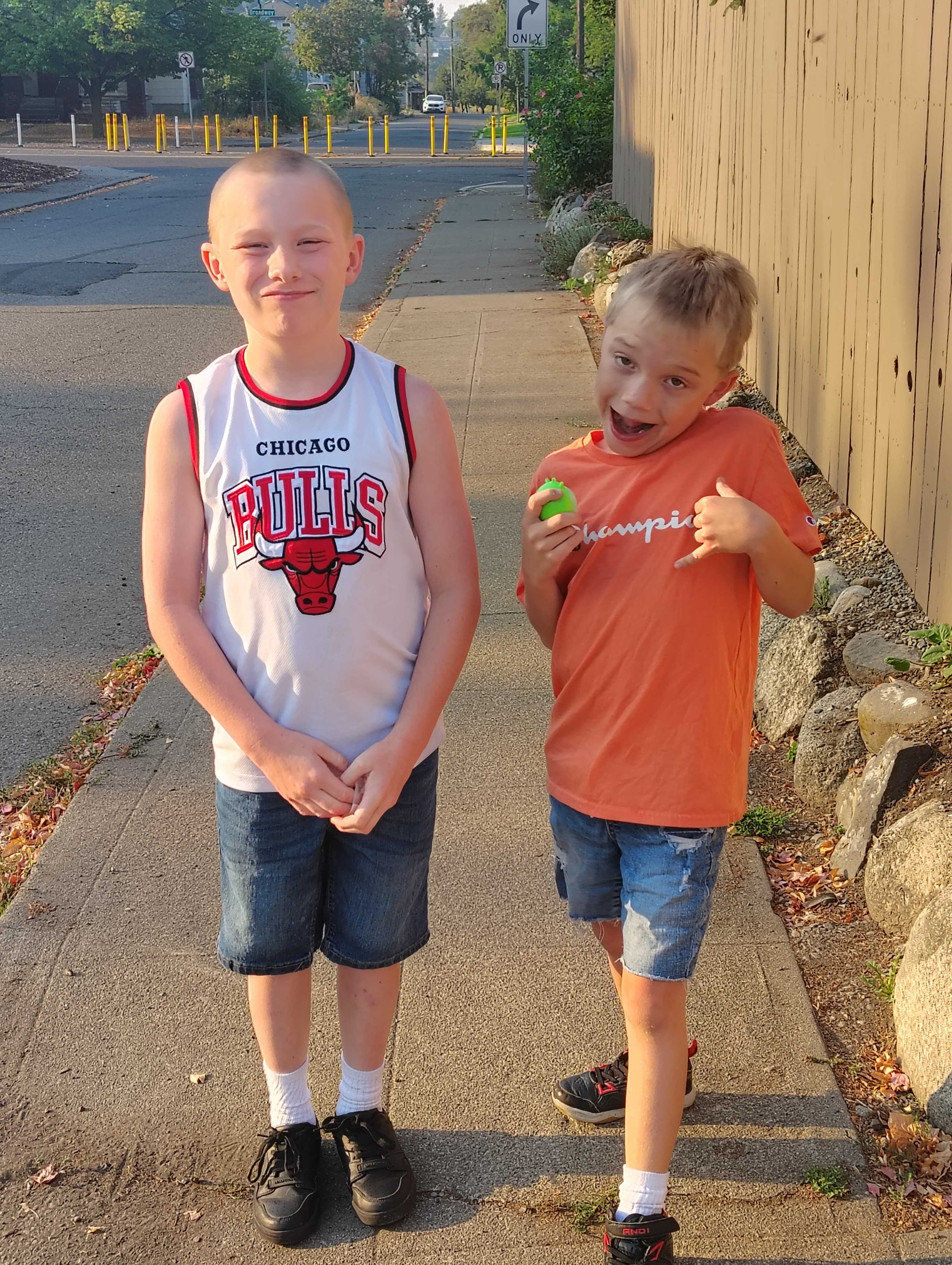 Help Zek & James Get a Backyard Swing Set campaign photo, 5 of 7