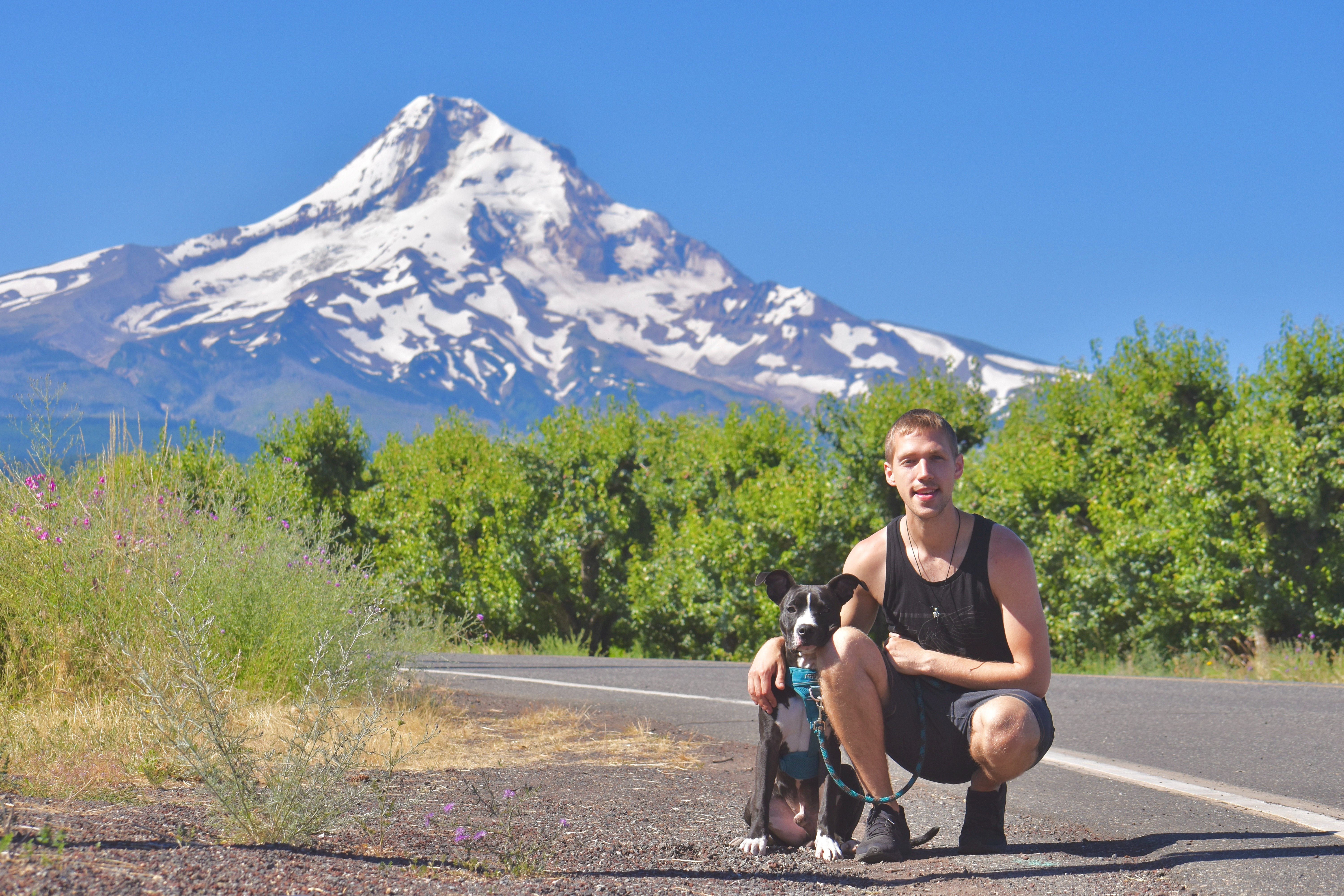 Help Jack Walk Again: Surgery Fund campaign photo, 5 of 8