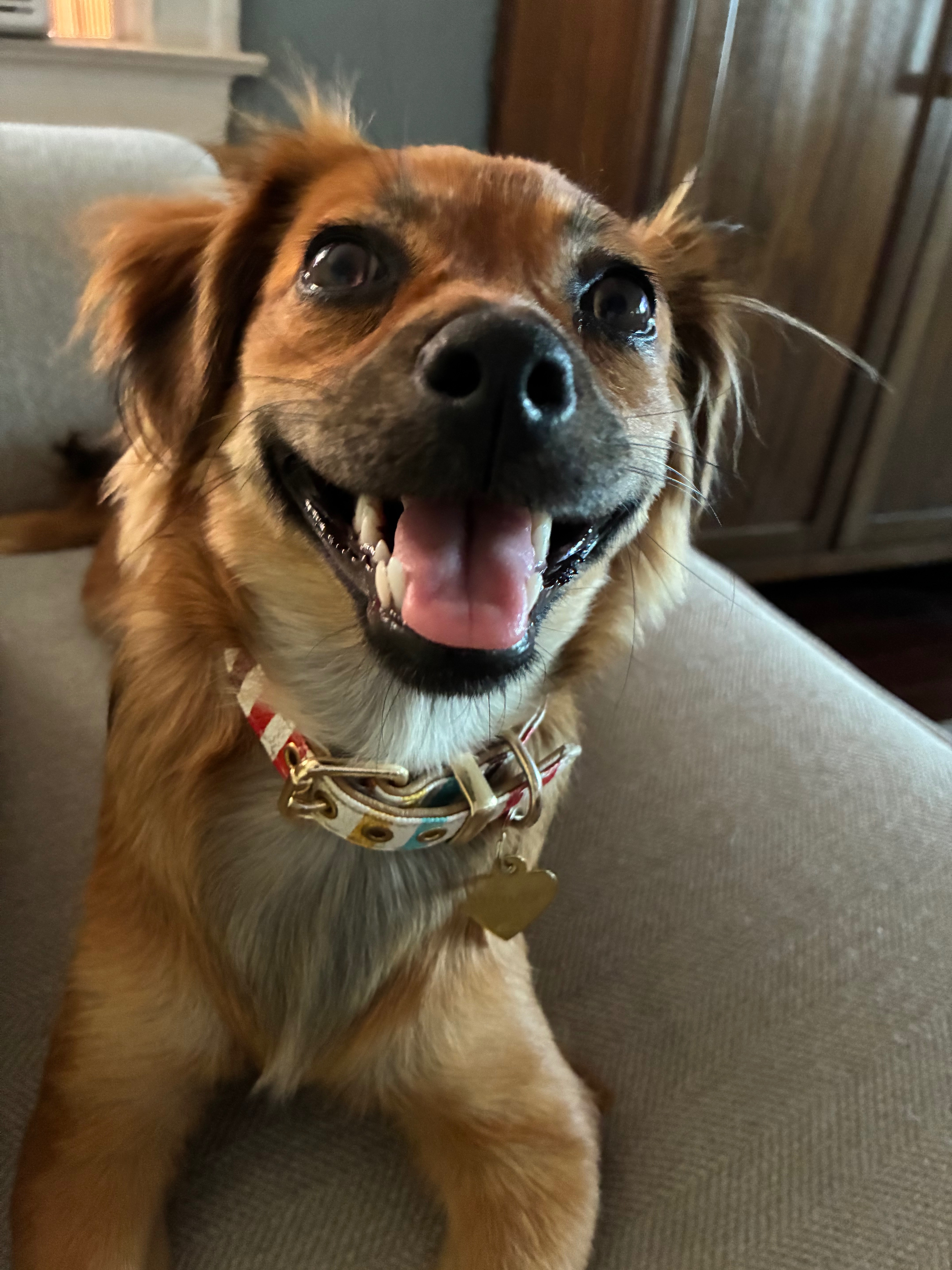 Summer’s knee surgery fund campaign photo, 7 of 8