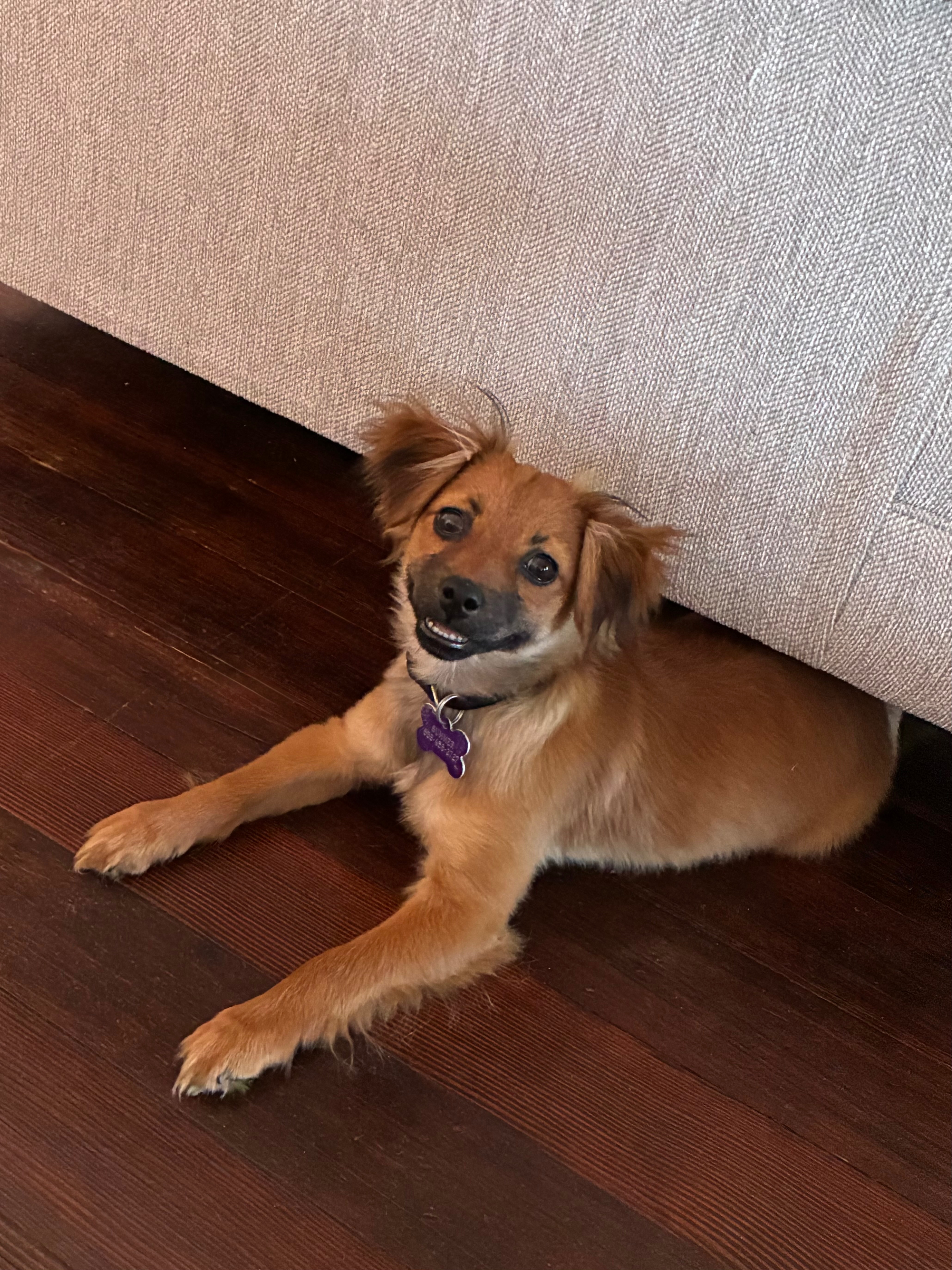 Summer’s knee surgery fund campaign photo, 5 of 8
