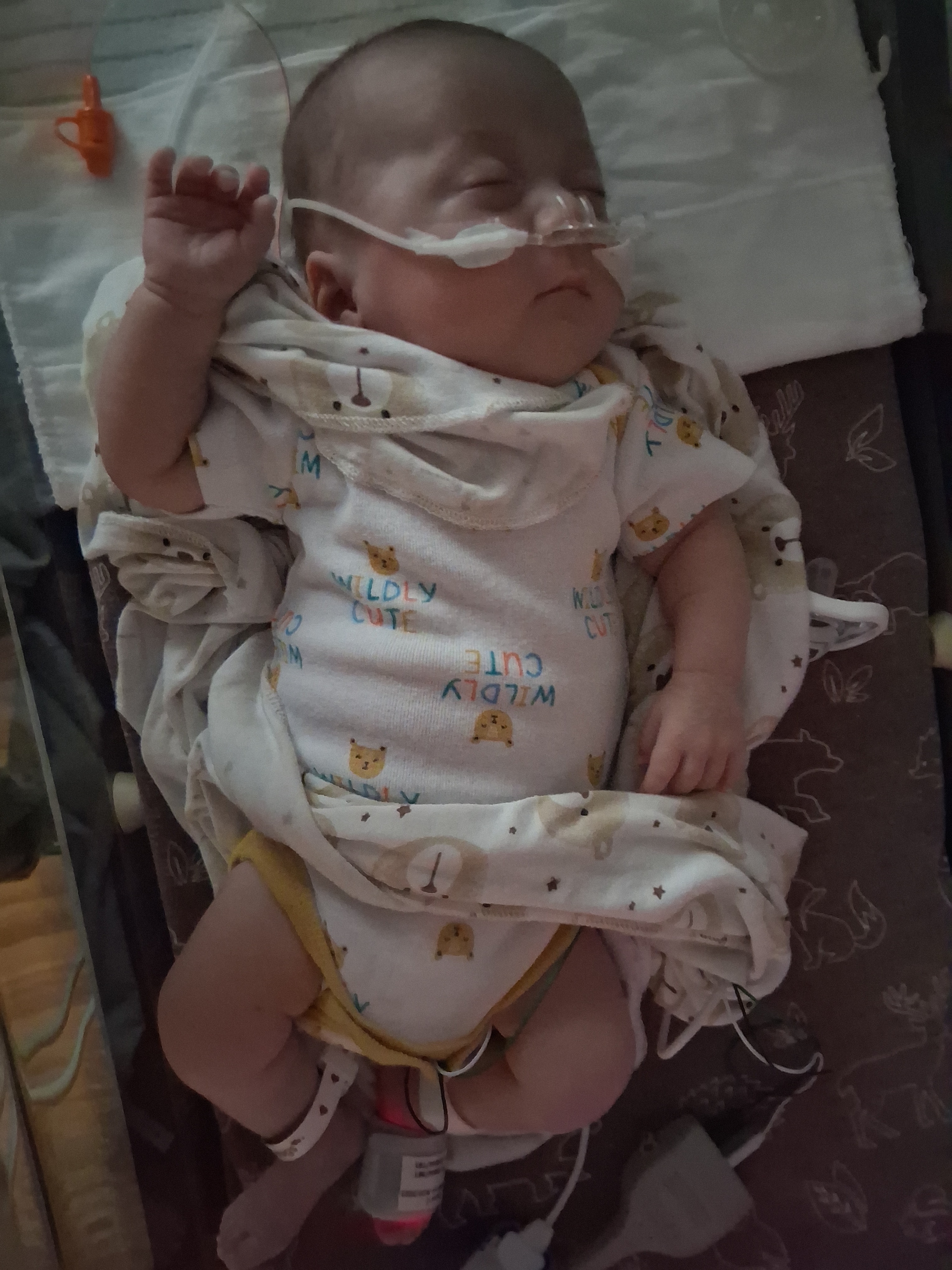 Help me find a safe home for my miracle baby and I campaign photo, 7 of 8