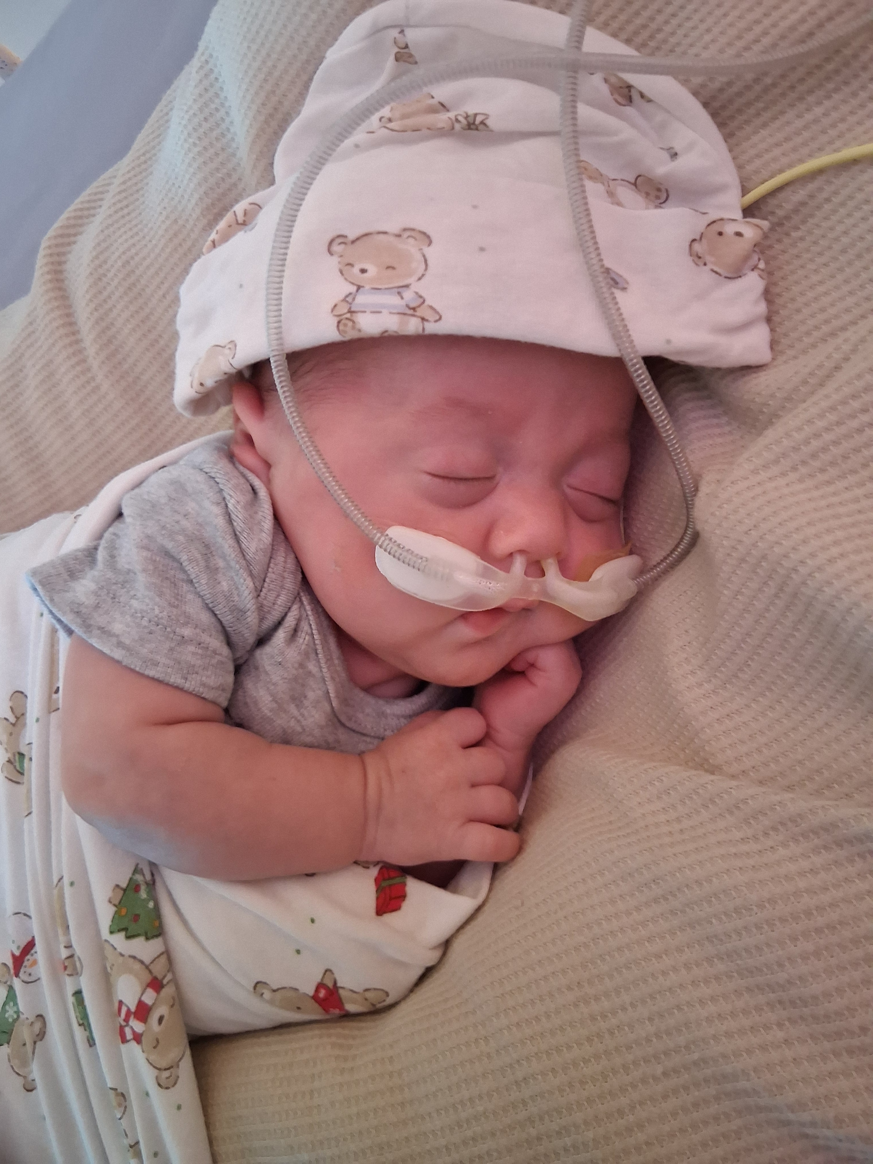 Help me find a safe home for my miracle baby and I campaign photo, 2 of 8