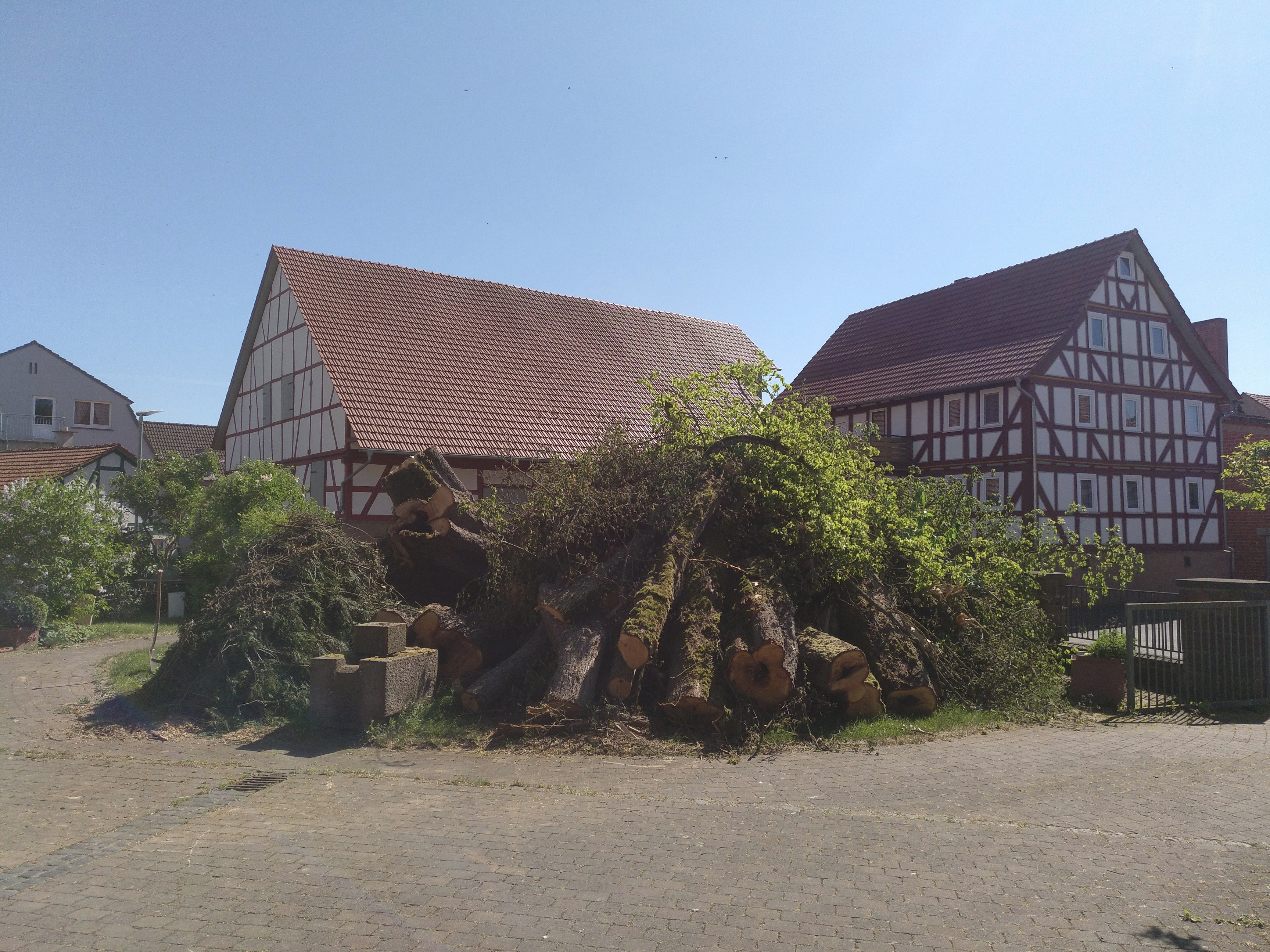 eine neue Dorflinde - Neugestaltung der Dorfmitte in Pfordt campaign photo, 2 of 8