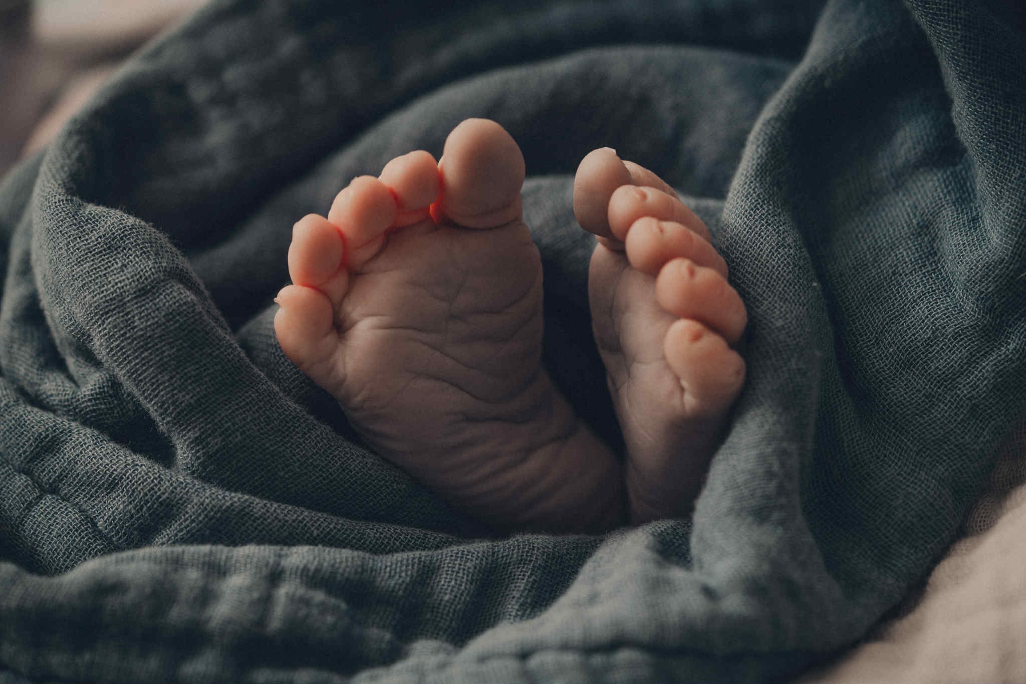 User-uploaded image 1