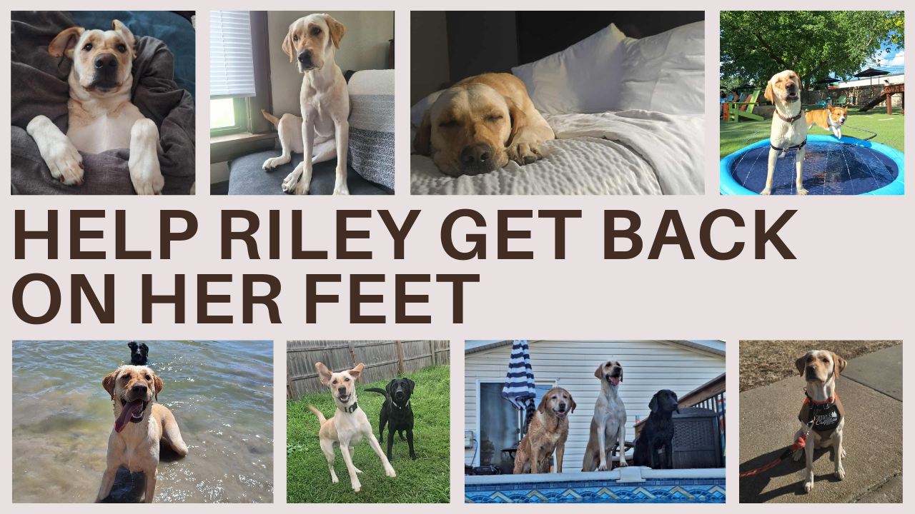 Help Riley Get Back on Her Feet campaign photo, 4 of 8