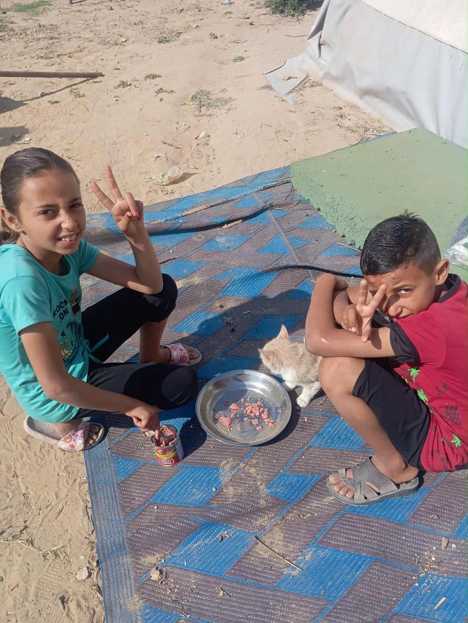 Emergency Aid for a Widow and Six Children in Gaza campaign photo, 6 of 8