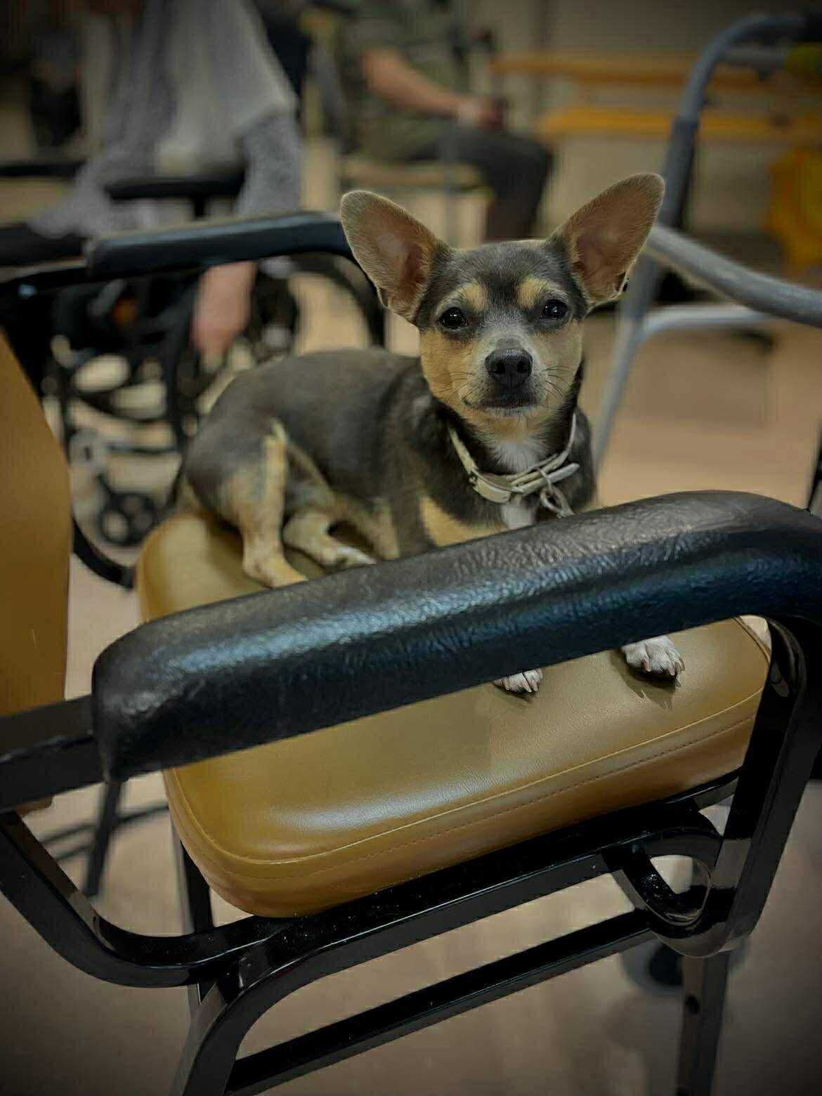 Soutenez nos 50 animaux, protégez notre mission campaign photo, 7 of 8