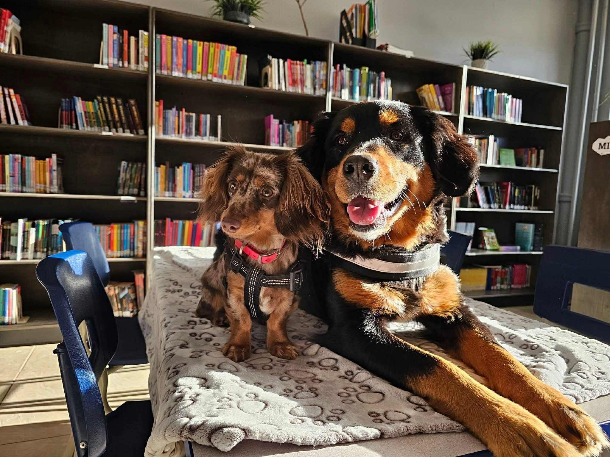 Soutenez nos 50 animaux, protégez notre mission campaign photo, 6 of 8