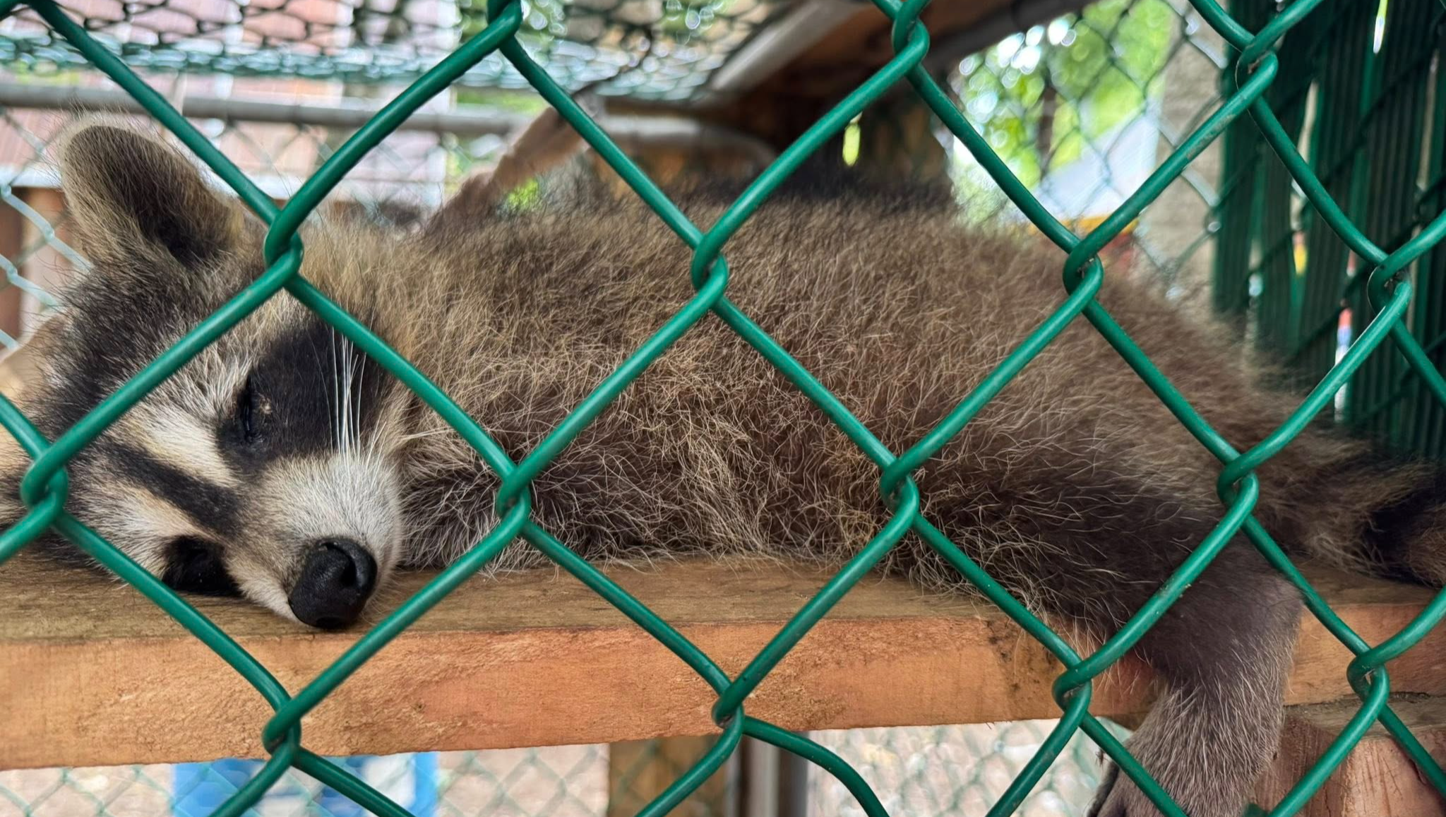 Appel du cœur du Refuge d’Adahy photo