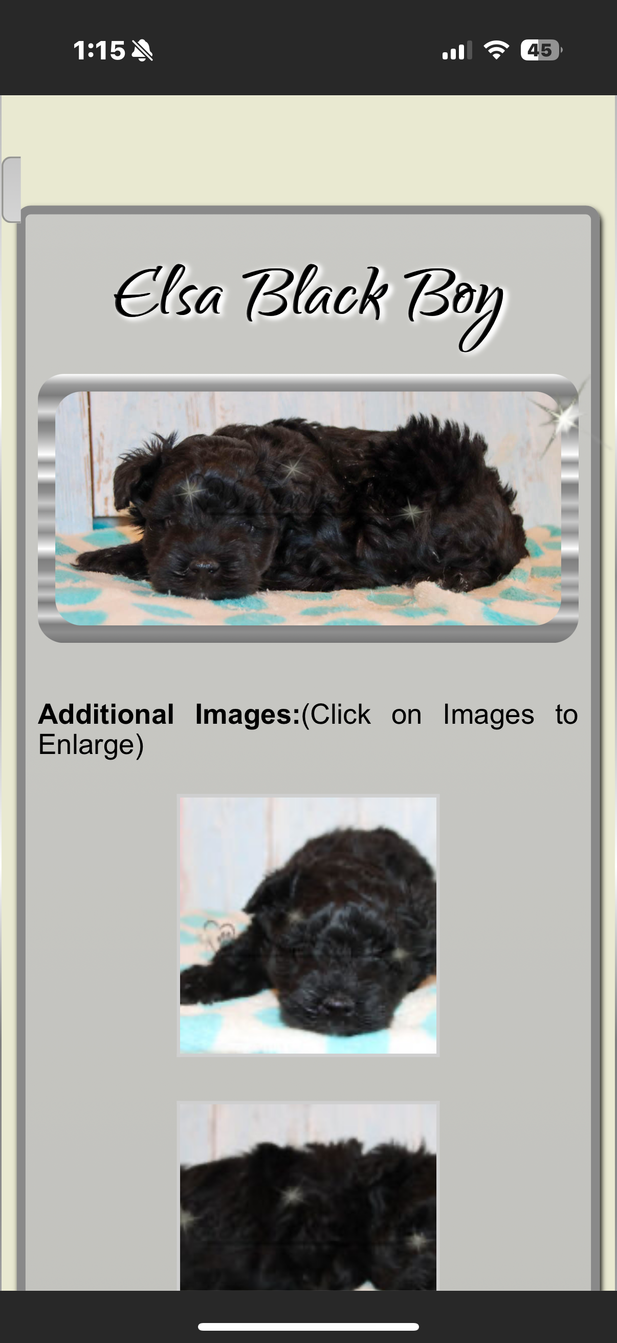 Kai’s First Birthday Surprise campaign photo, 2 of 5