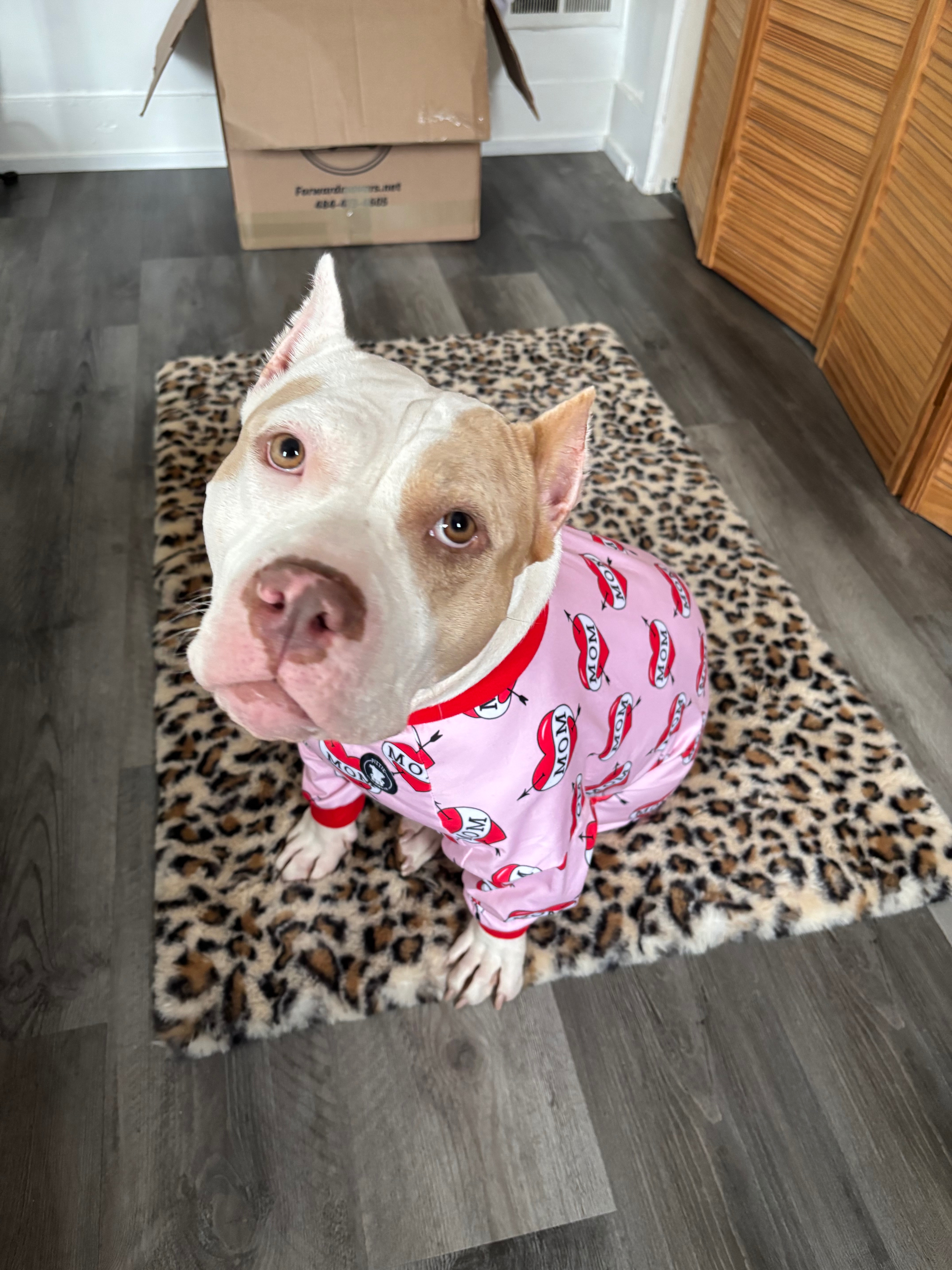 Help Athena recover from TPLO surgery campaign photo, 6 of 8