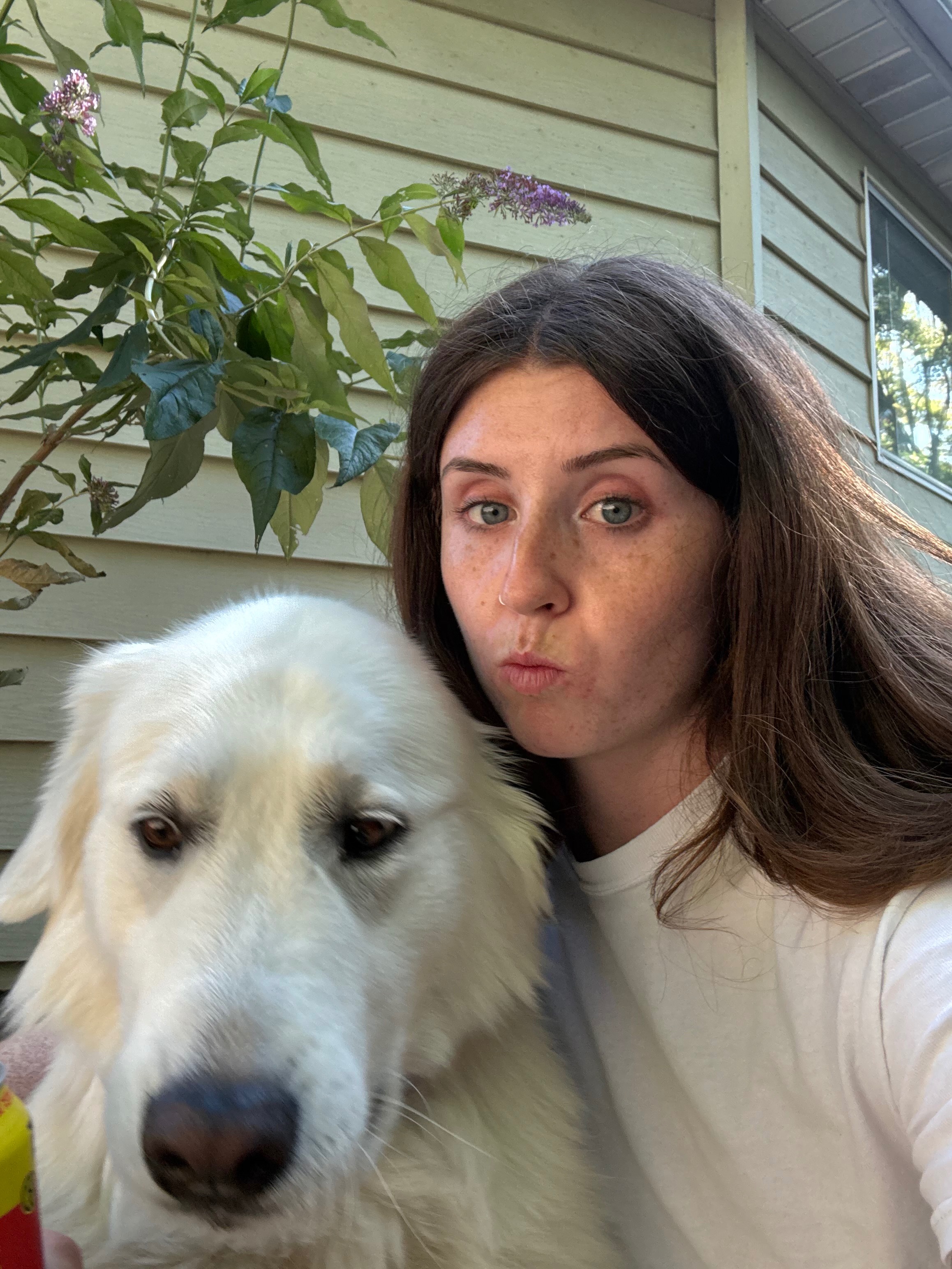 Help Jules Recover: Support Maddy's Beloved Dog campaign photo, 6 of 7