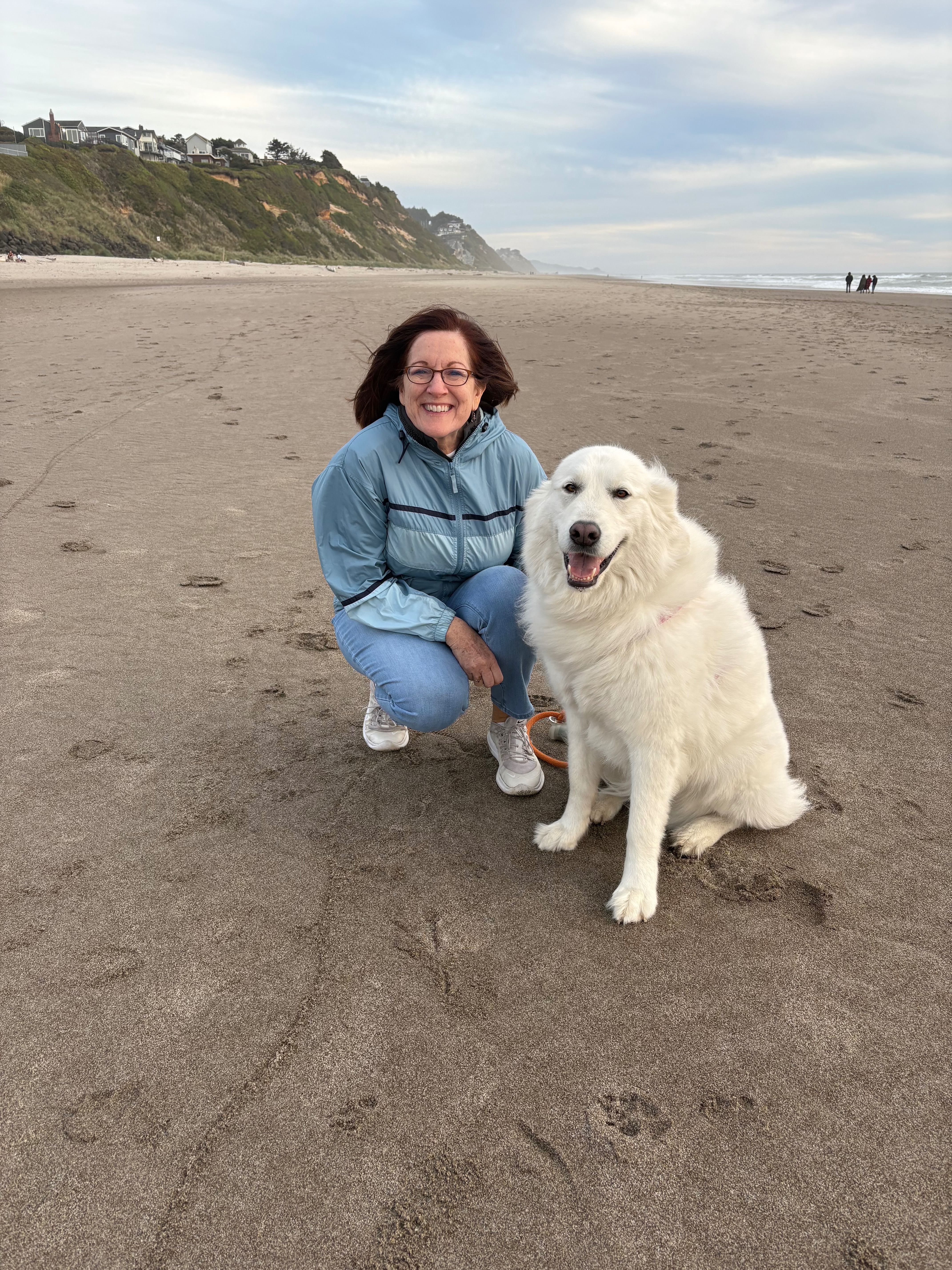 Help Jules Recover: Support Maddy's Beloved Dog campaign photo, 5 of 7