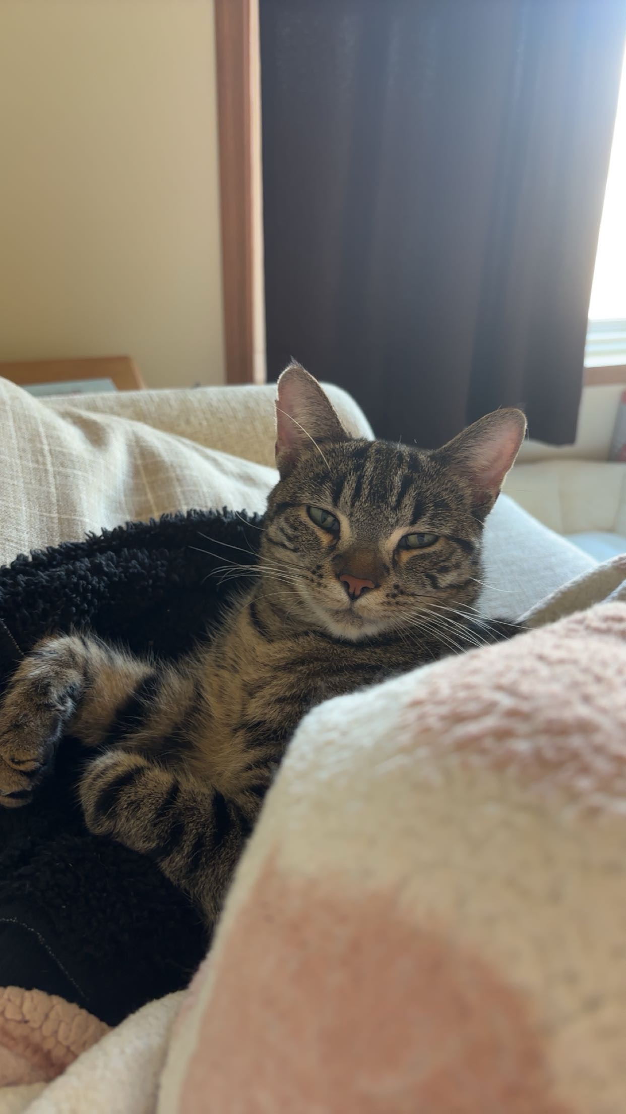 Help Inosuke Get Life-Saving Surgery campaign photo, 4 of 8