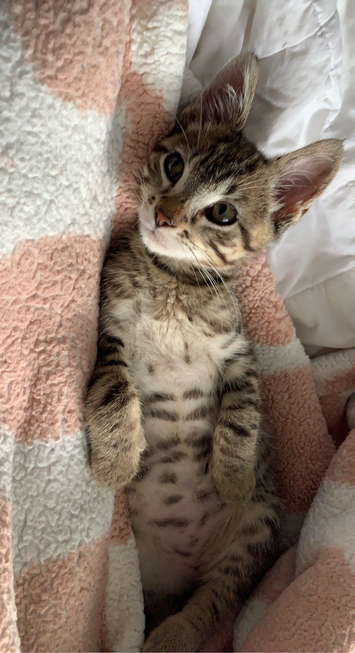 Help Inosuke Get Life-Saving Surgery campaign photo, 5 of 8