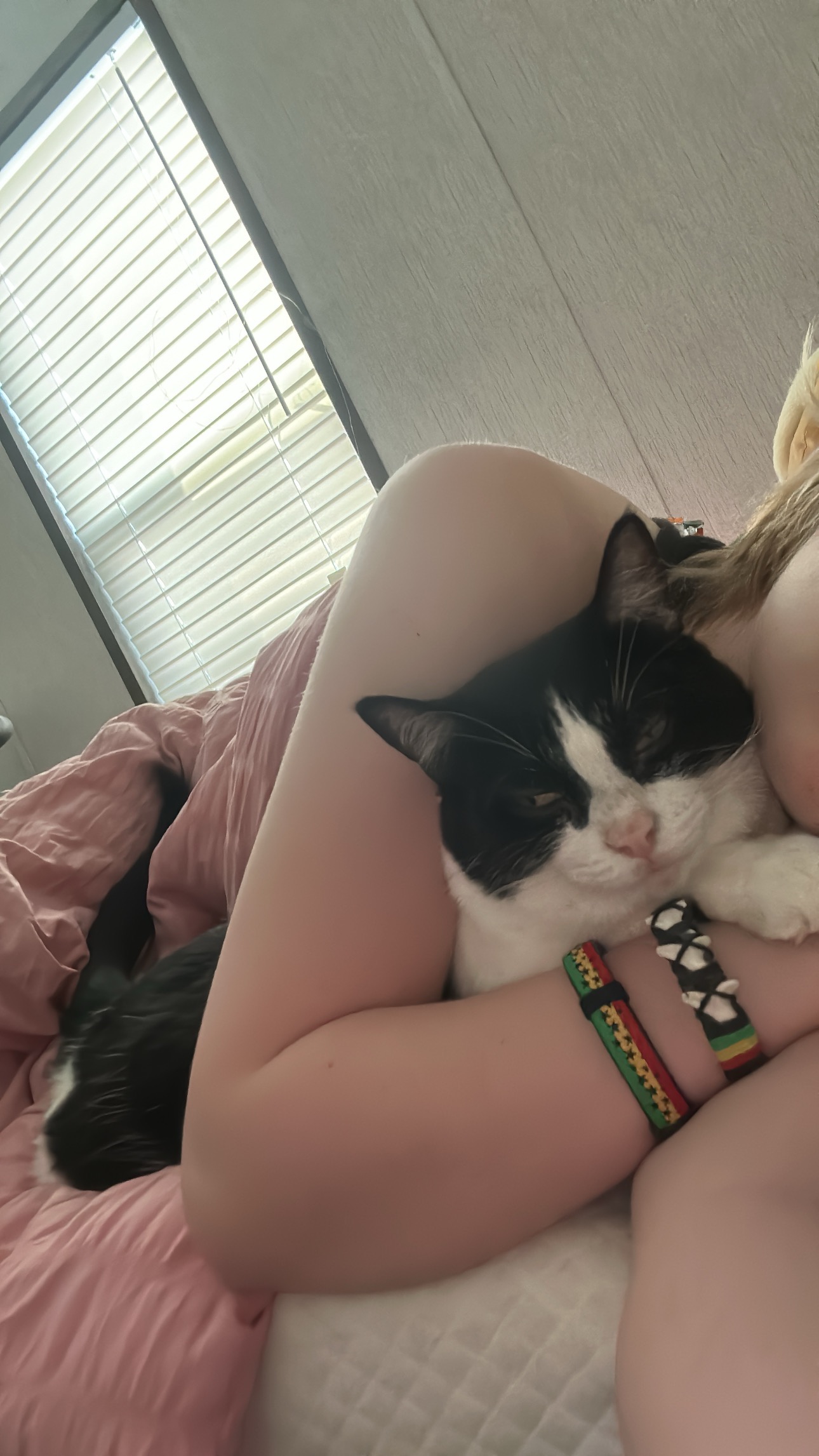 Support Needed for Cat's Vet Bills campaign photo, 2 of 7