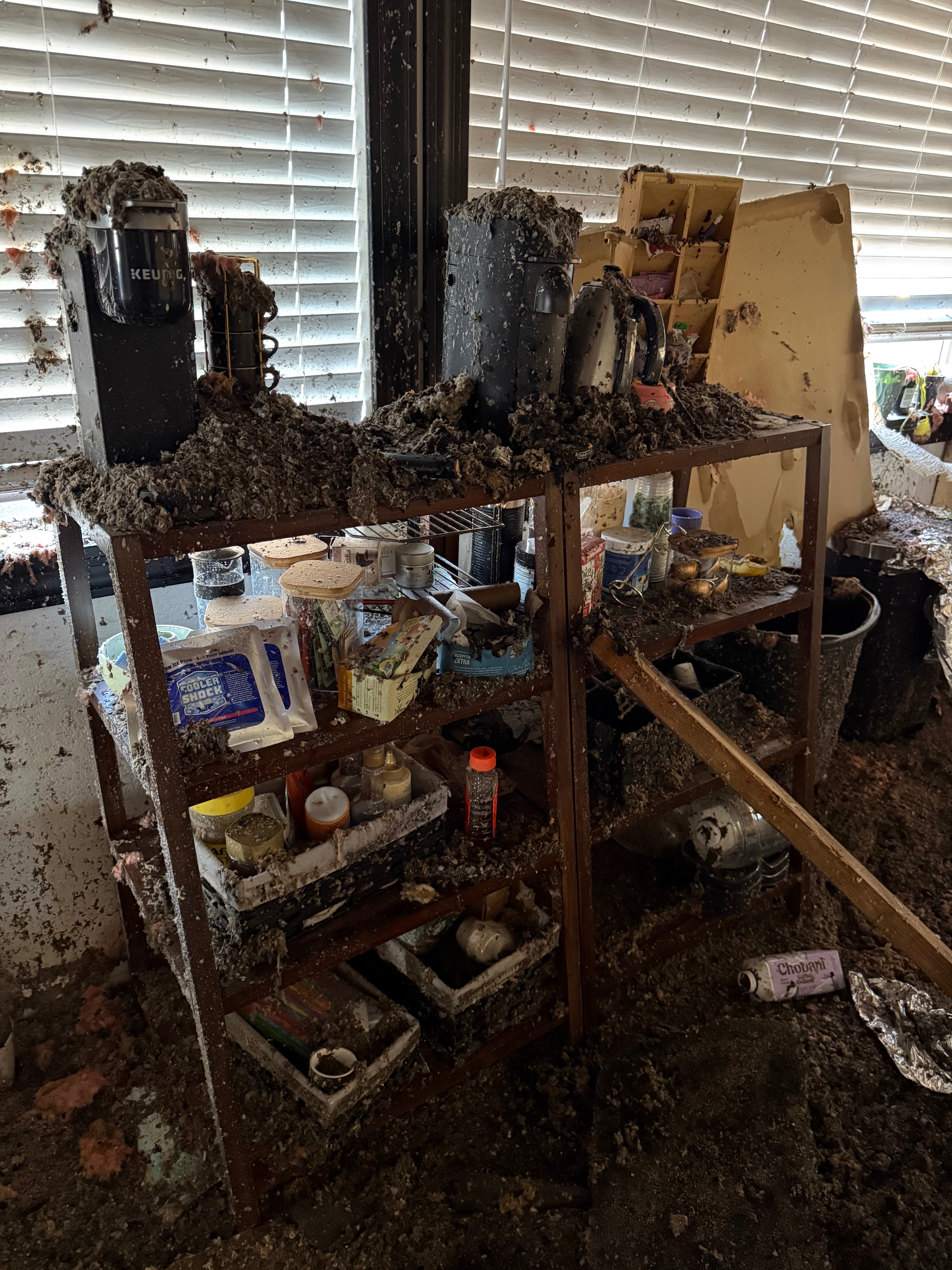 Rebuild Macias Family Home campaign photo, 6 of 8