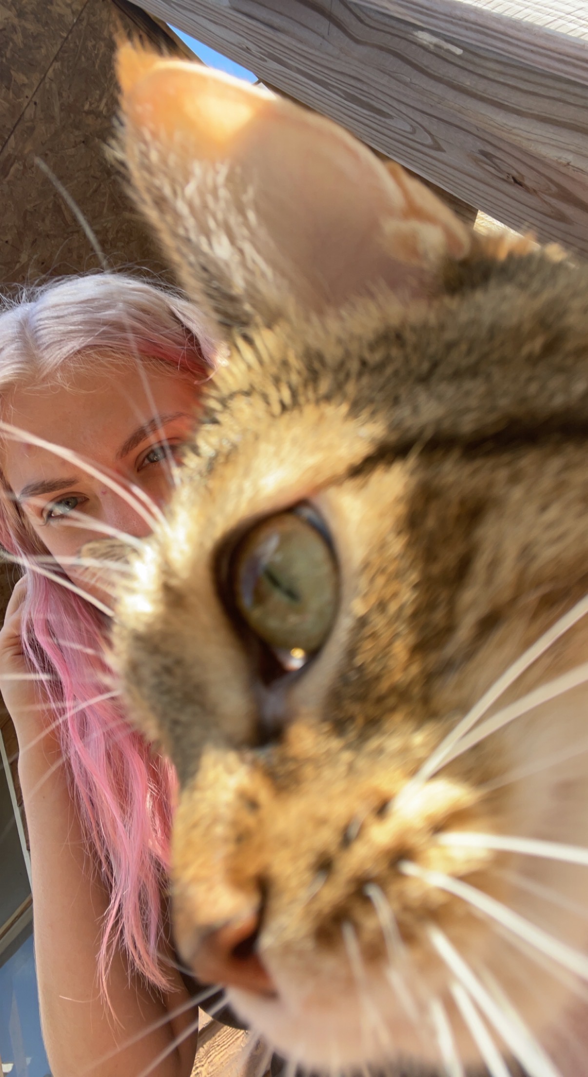 Support Minnie’s Fight Against DKA campaign photo, 5 of 8
