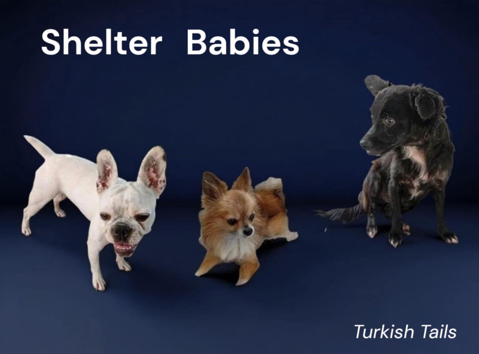 Help us to clear September travel campaign photo, 6 of 7
