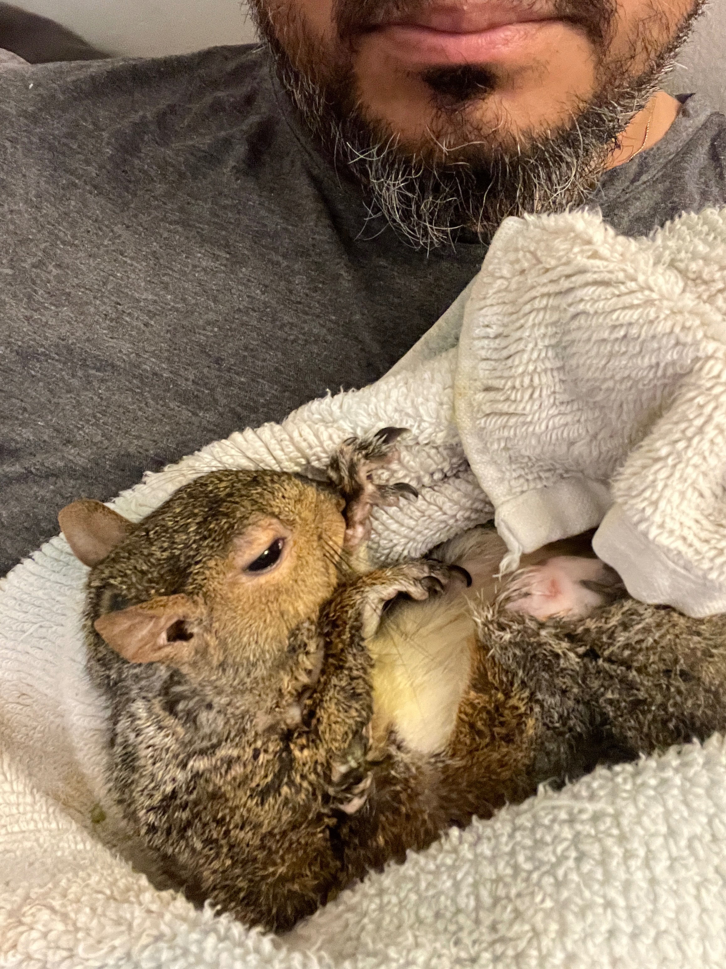Help Pooh Bear be a normal squirrel again campaign photo, 2 of 8