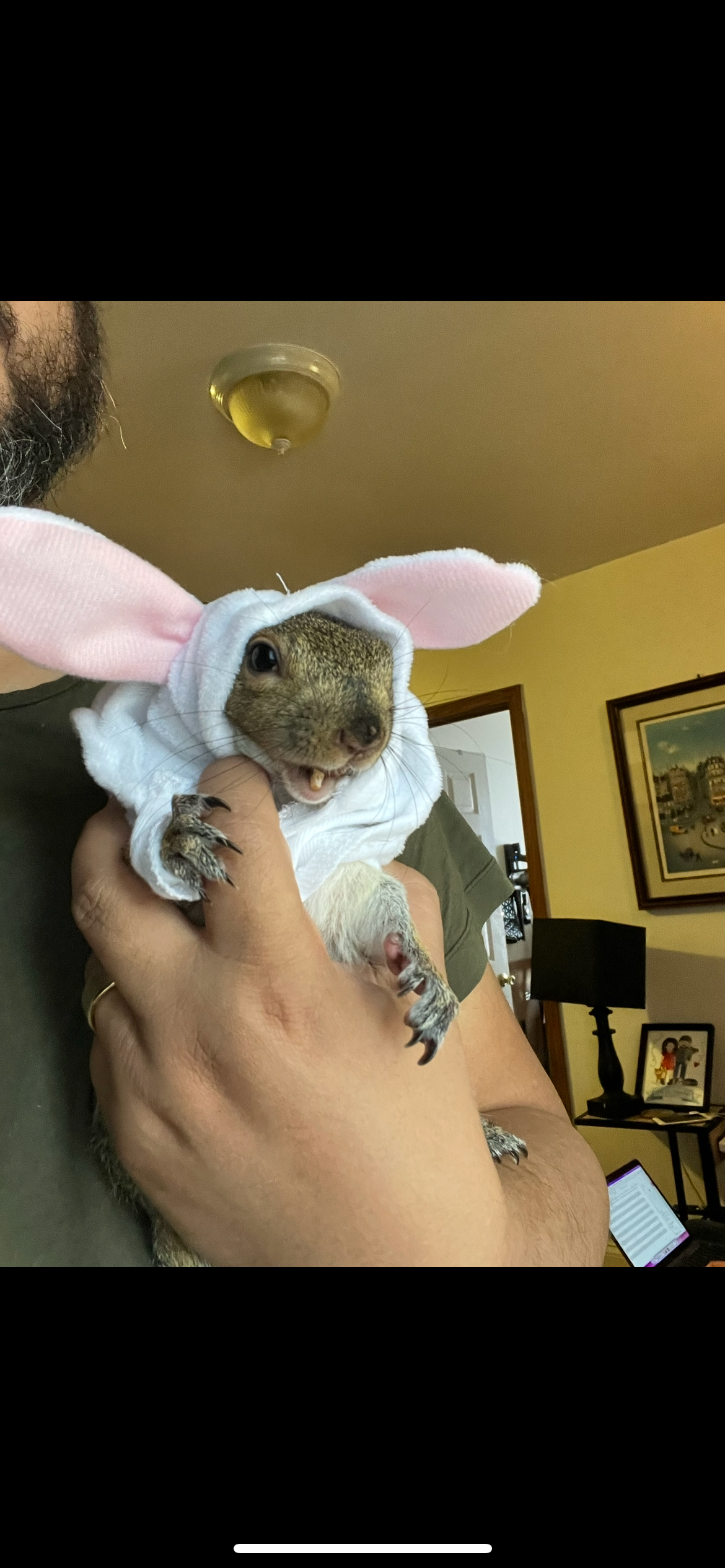Help Pooh Bear be a normal squirrel again campaign photo, 6 of 8