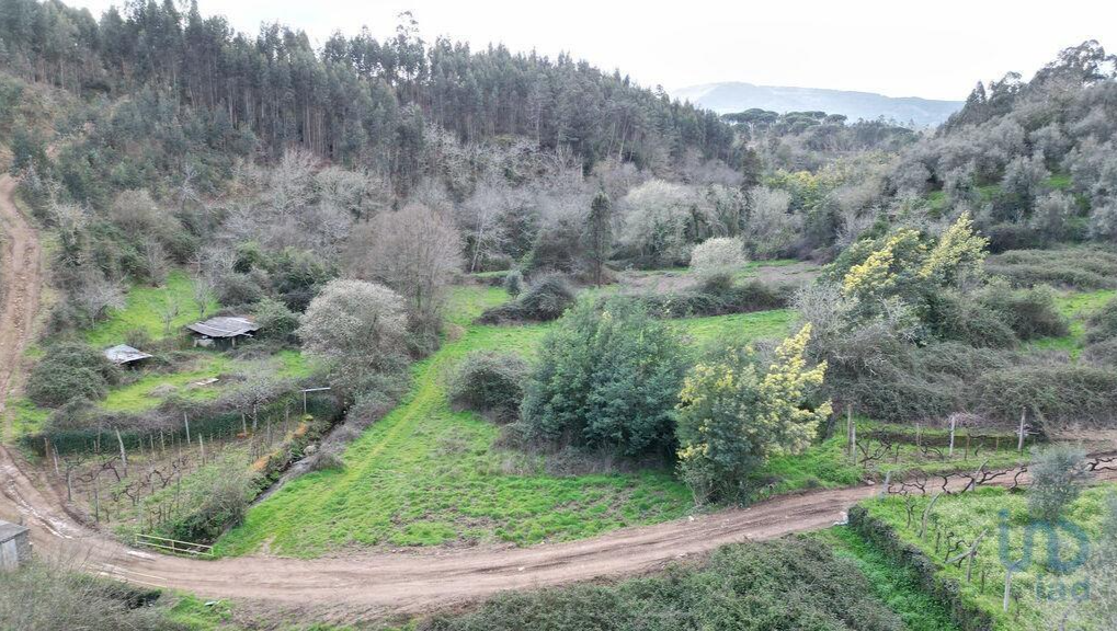 International group Jesus off-grid community in Portugal. photo