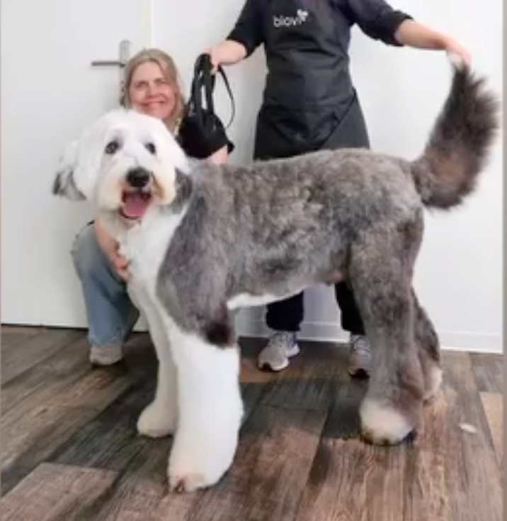 Pretty Pepper Paws – A Birthday Gift for Steph! campaign photo, 5 of 6
