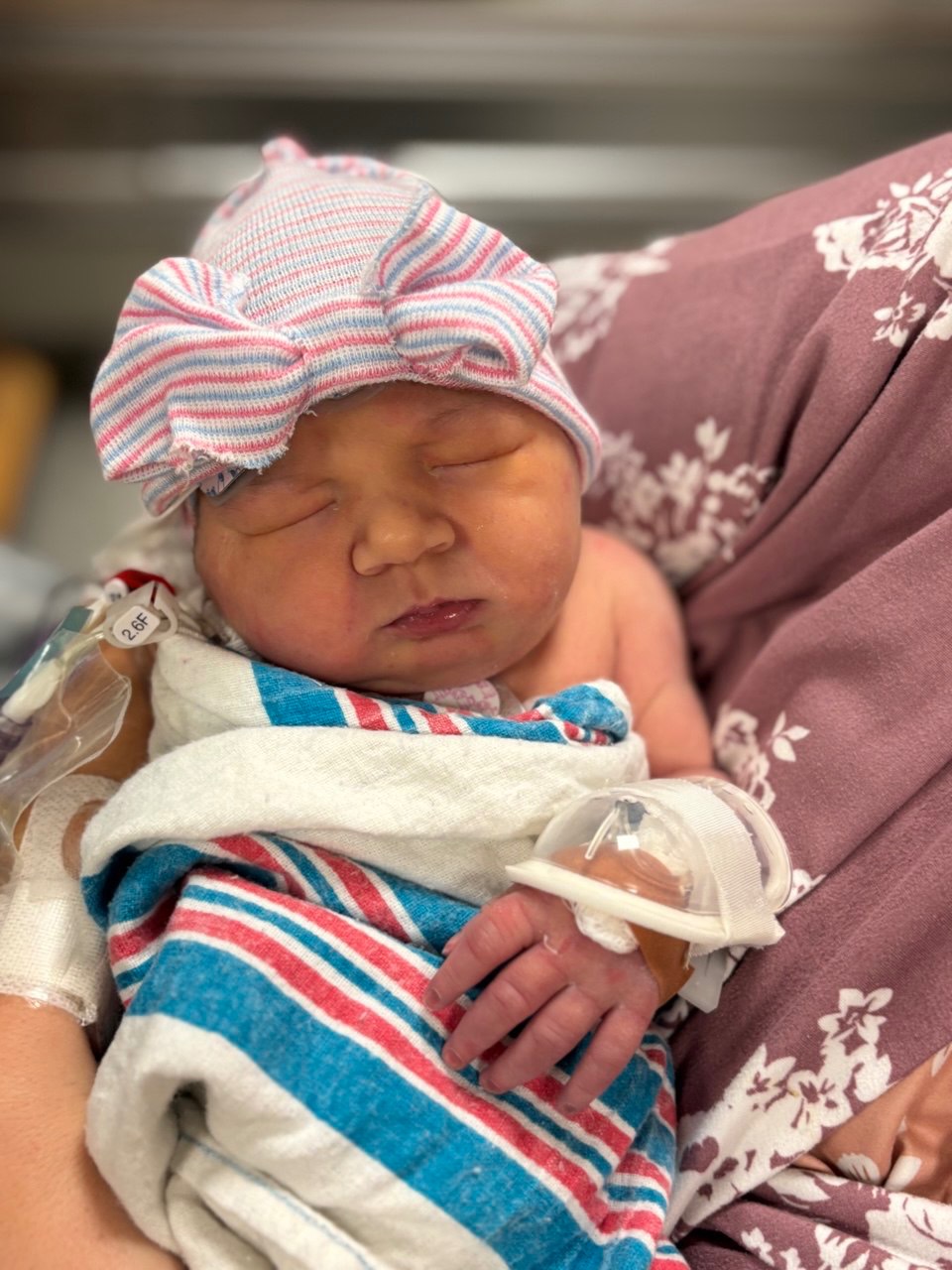 Baby Hailey's open heart surgery campaign photo, 4 of 6